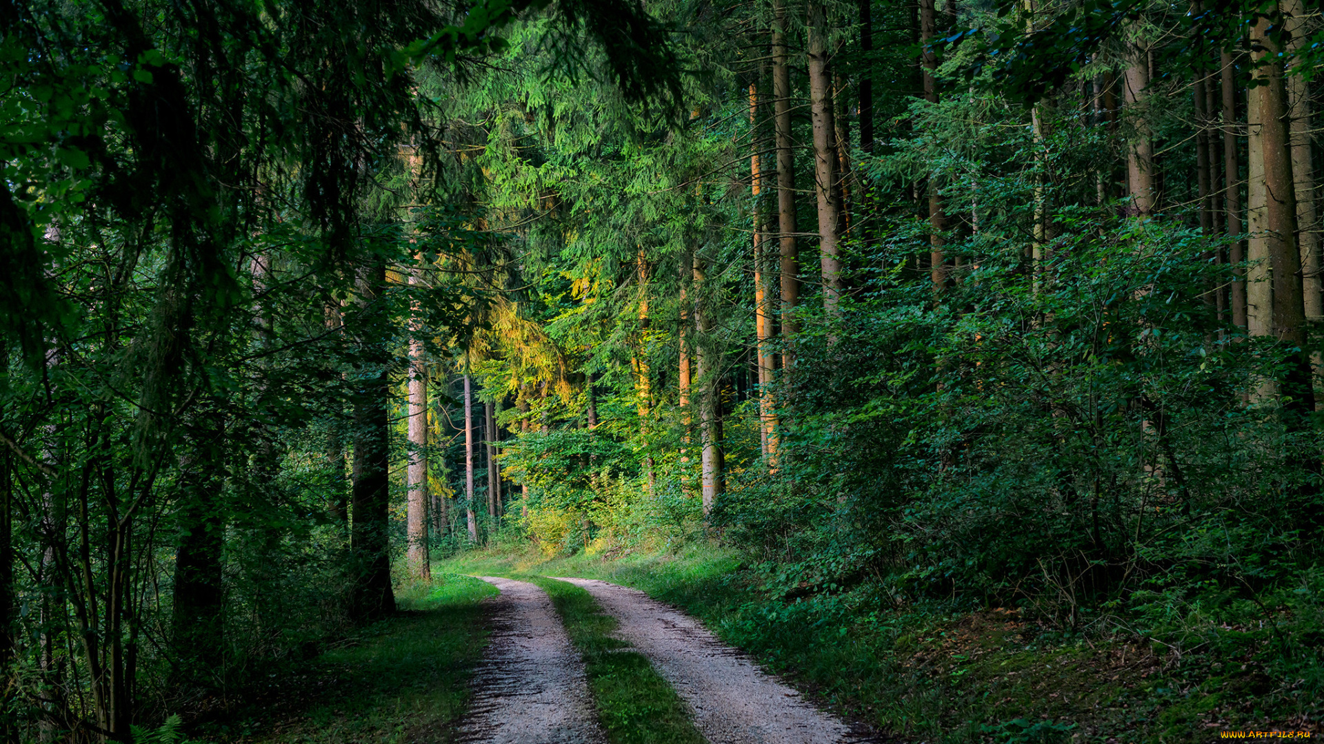 природа, дороги, простор