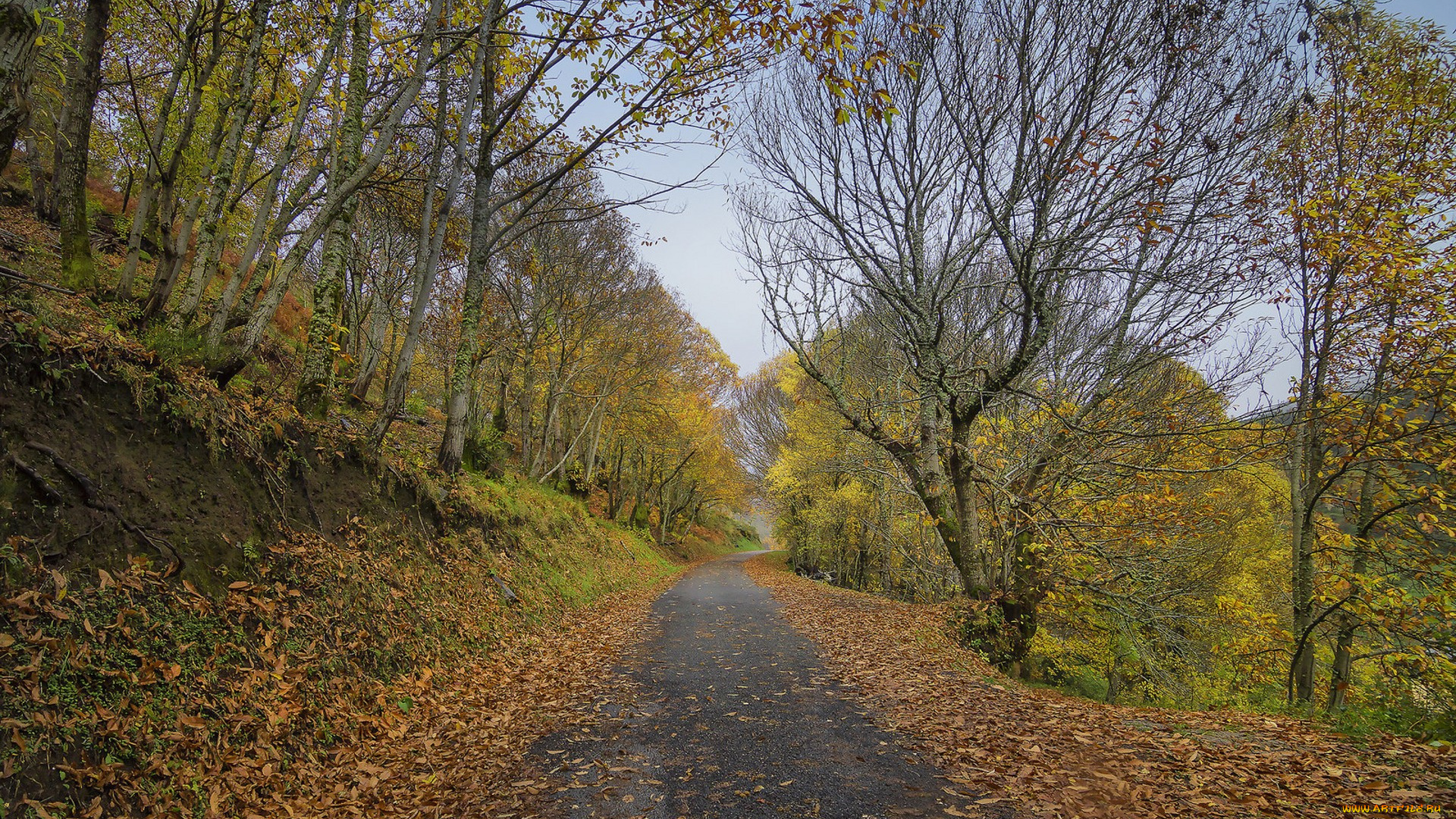 природа, дороги, простор