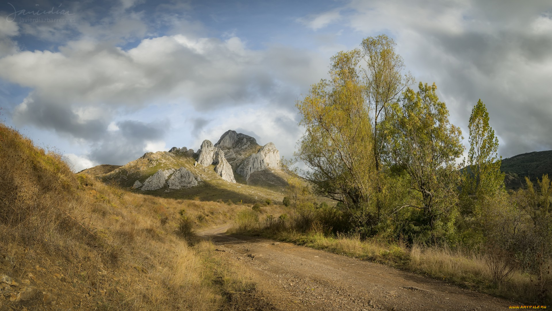 природа, дороги, простор