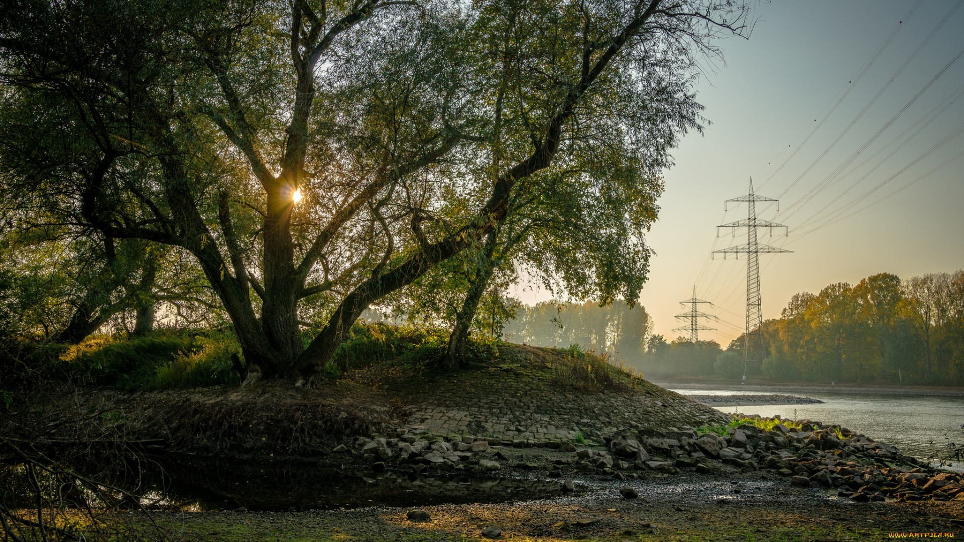 природа, лес, простор