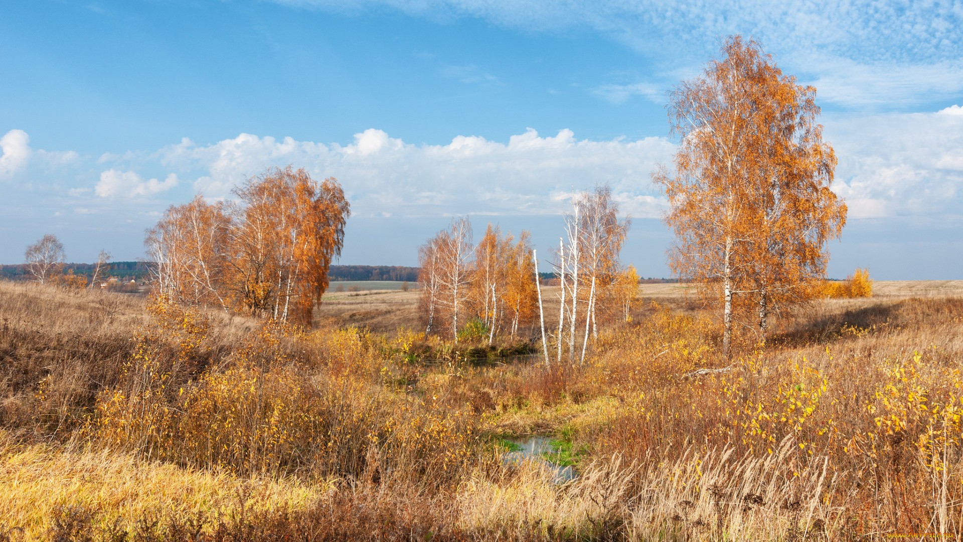 природа, пейзажи, простор