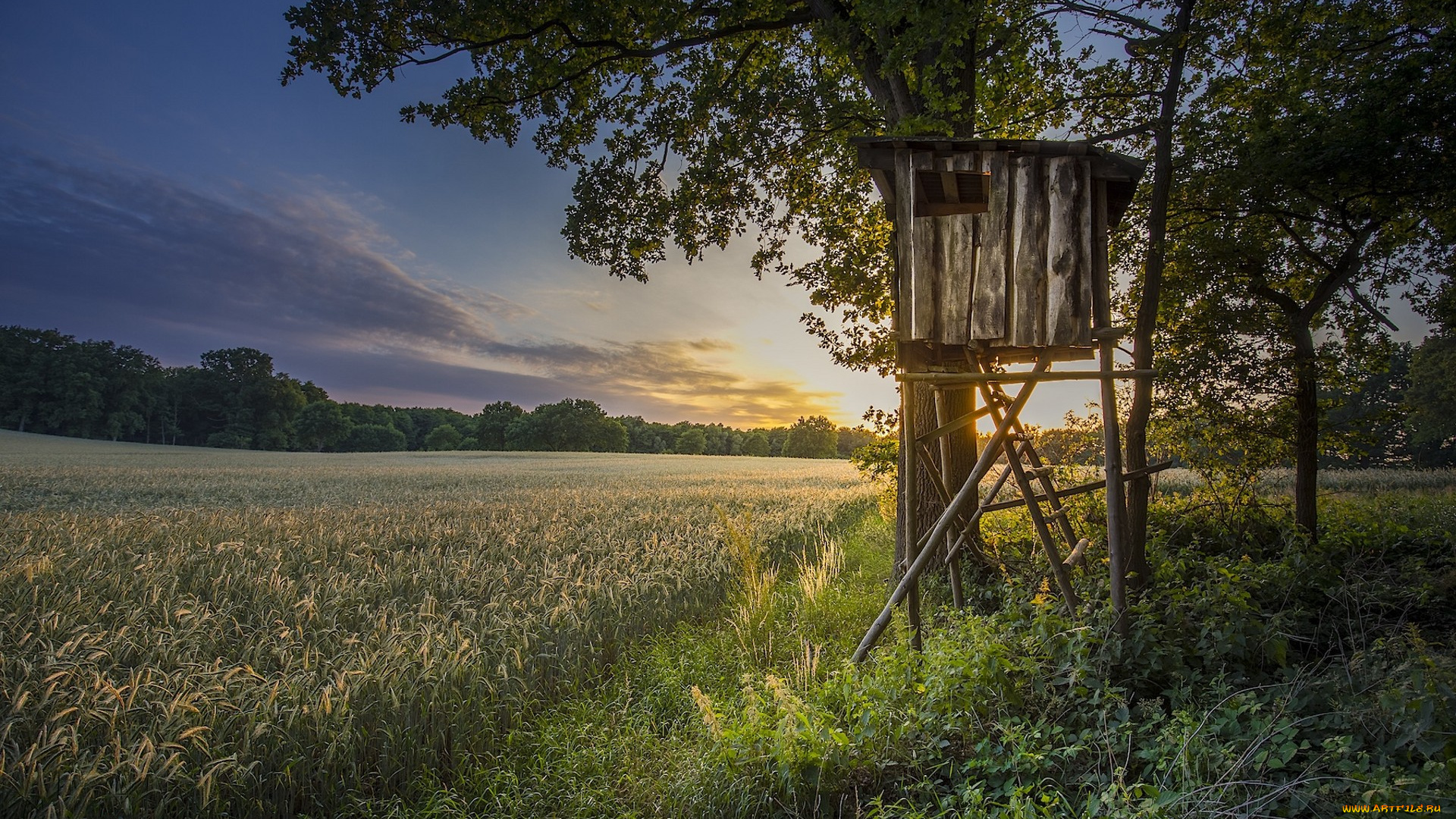 природа, пейзажи, простор