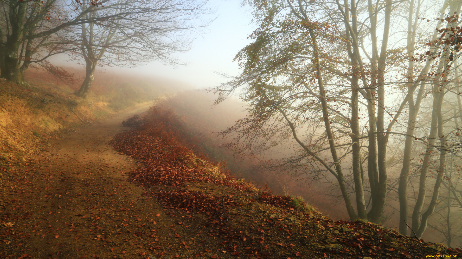 природа, пейзажи, простор