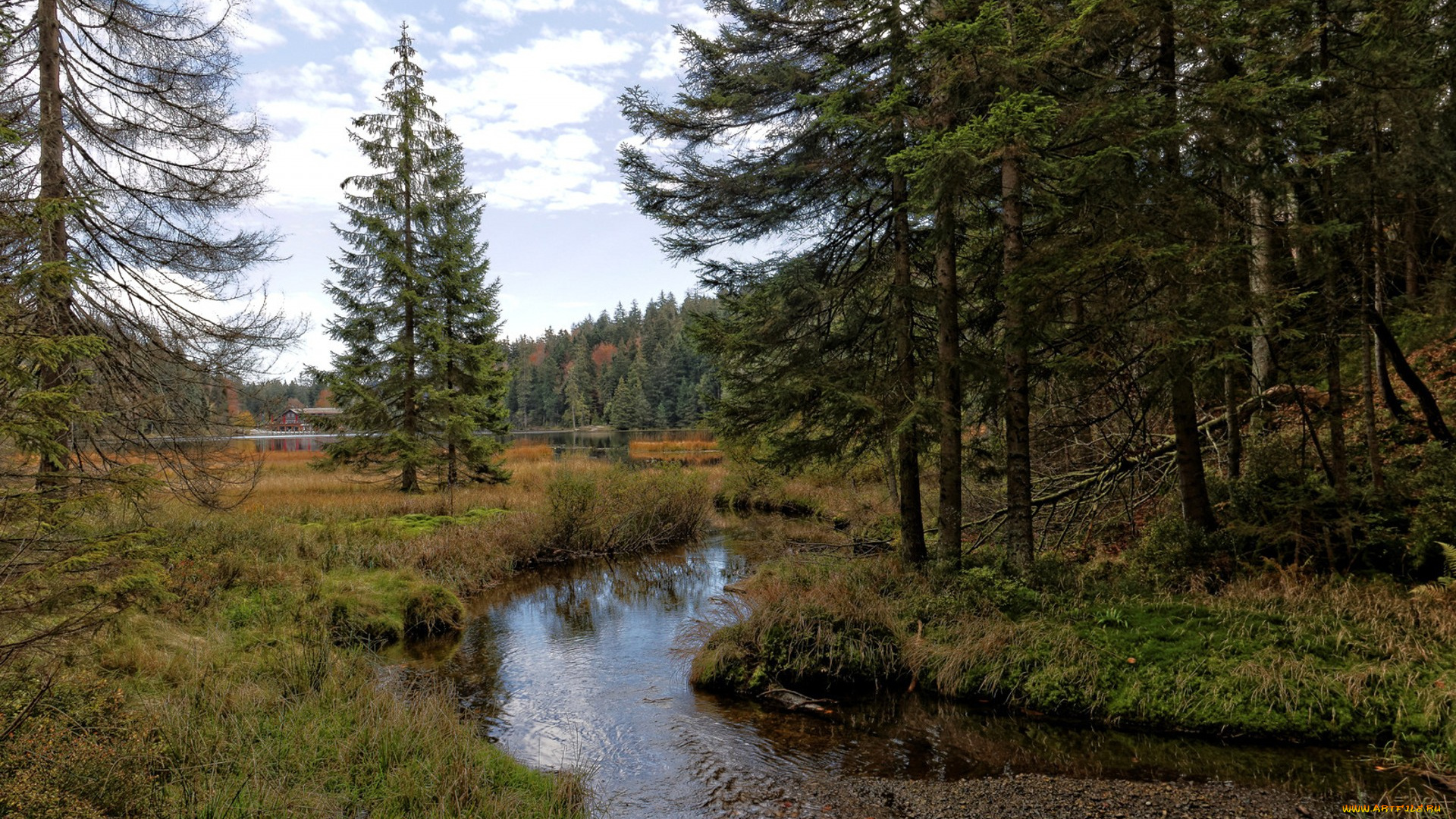 природа, реки, озера, простор