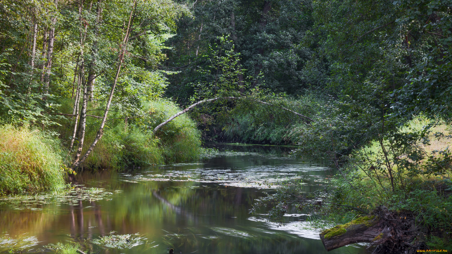 природа, реки, озера, простор