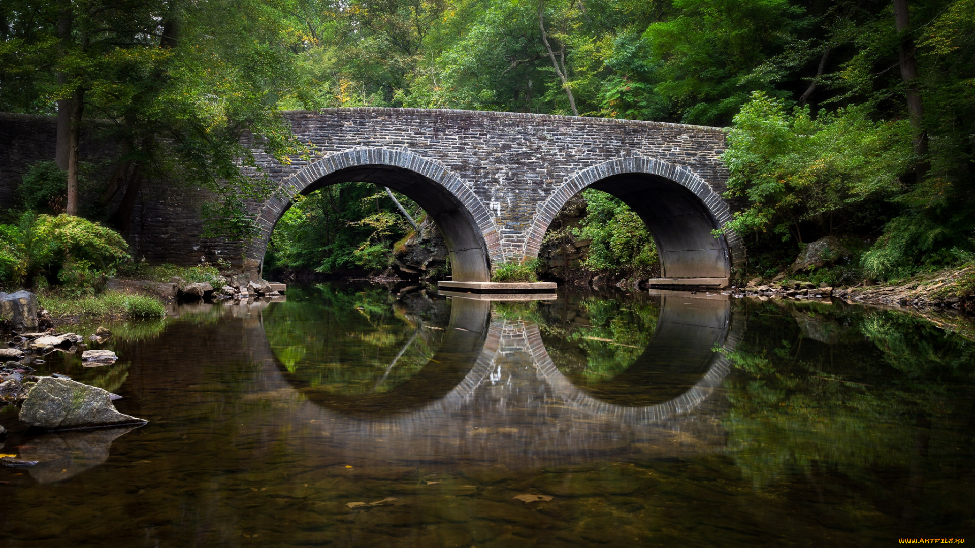 природа, реки, озера, простор