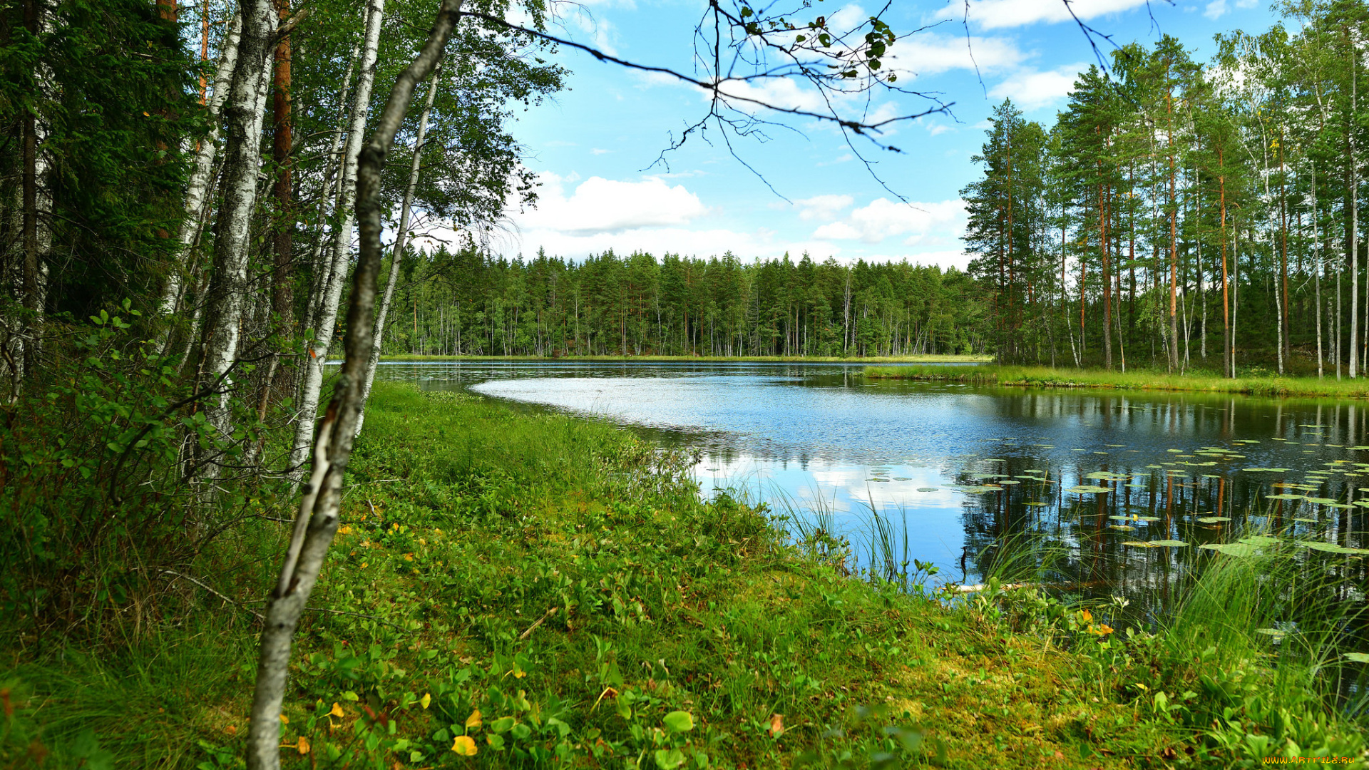 природа, реки, озера, простор