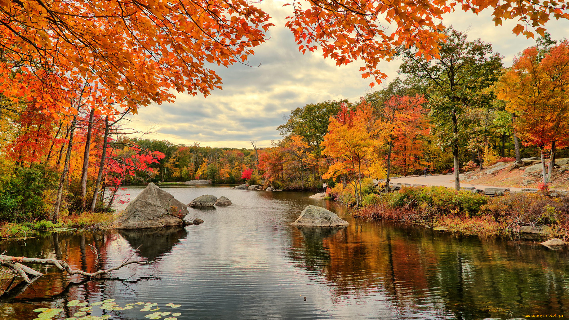 природа, реки, озера, простор