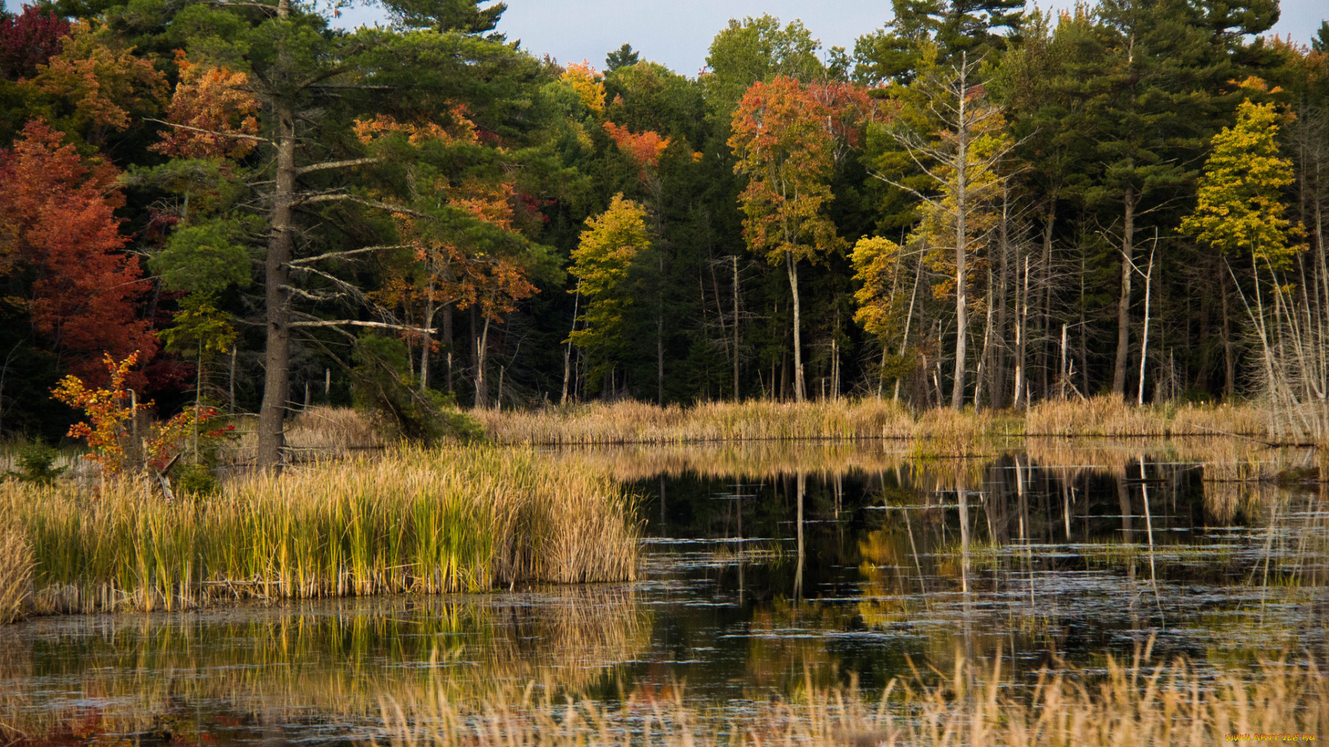 природа, реки, озера, простор