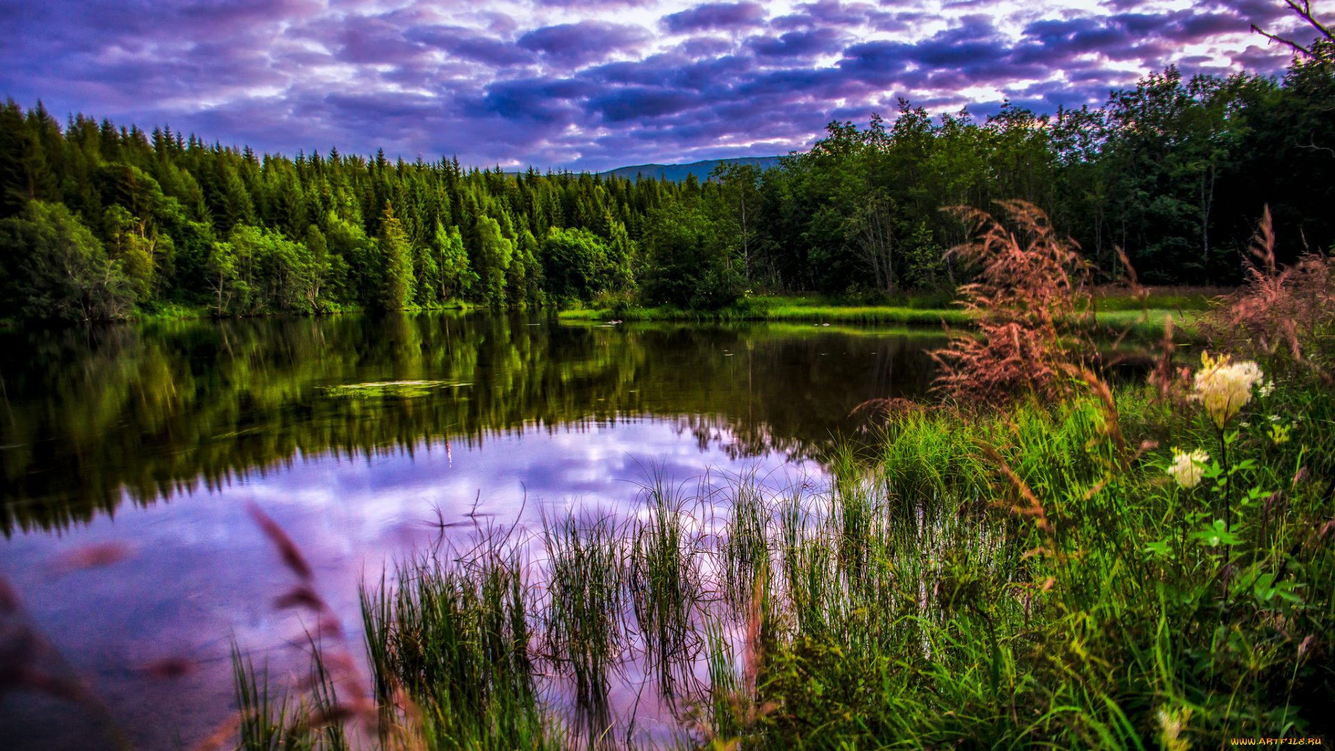 природа, реки, озера, простор