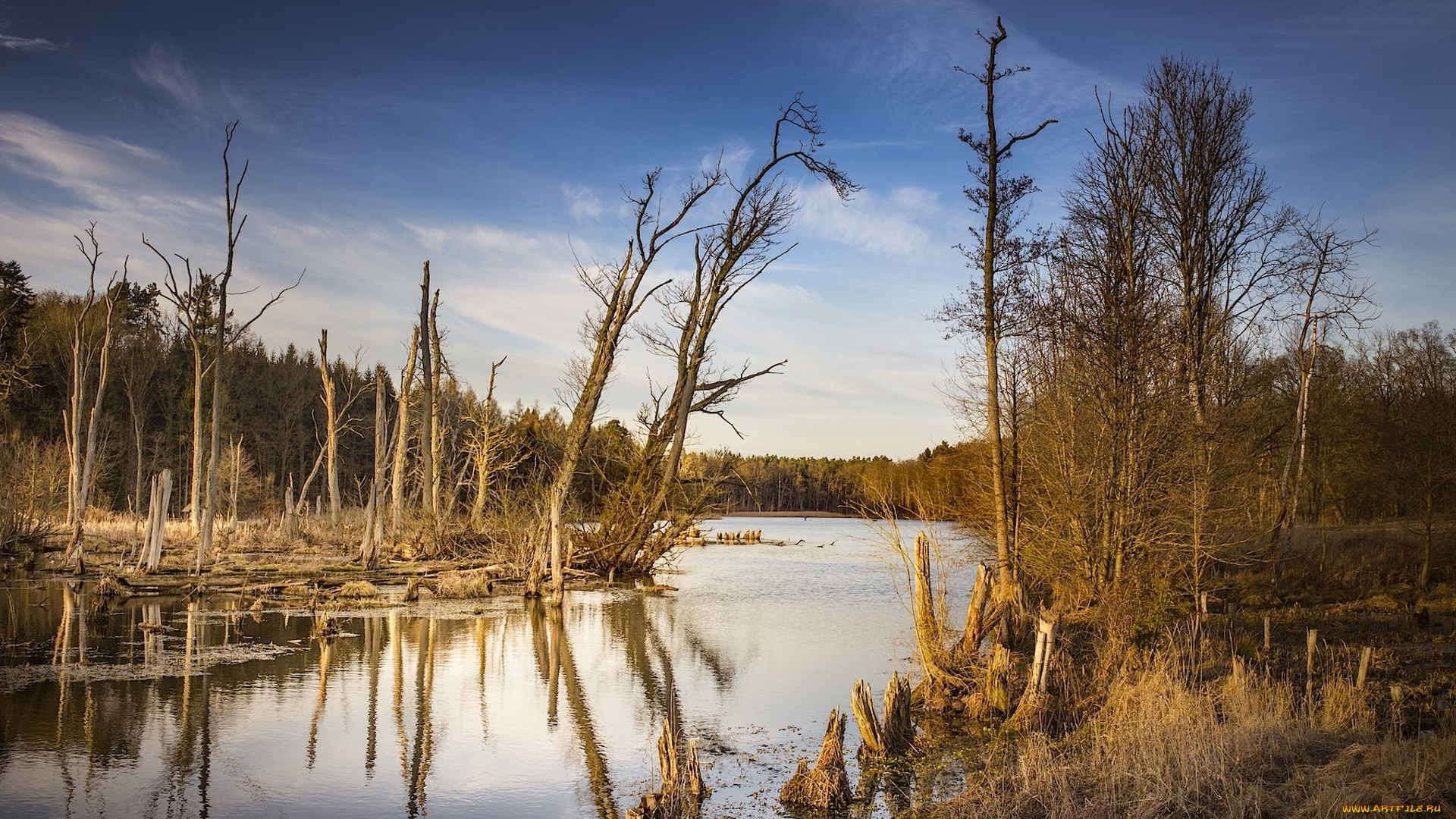 природа, реки, озера, простор