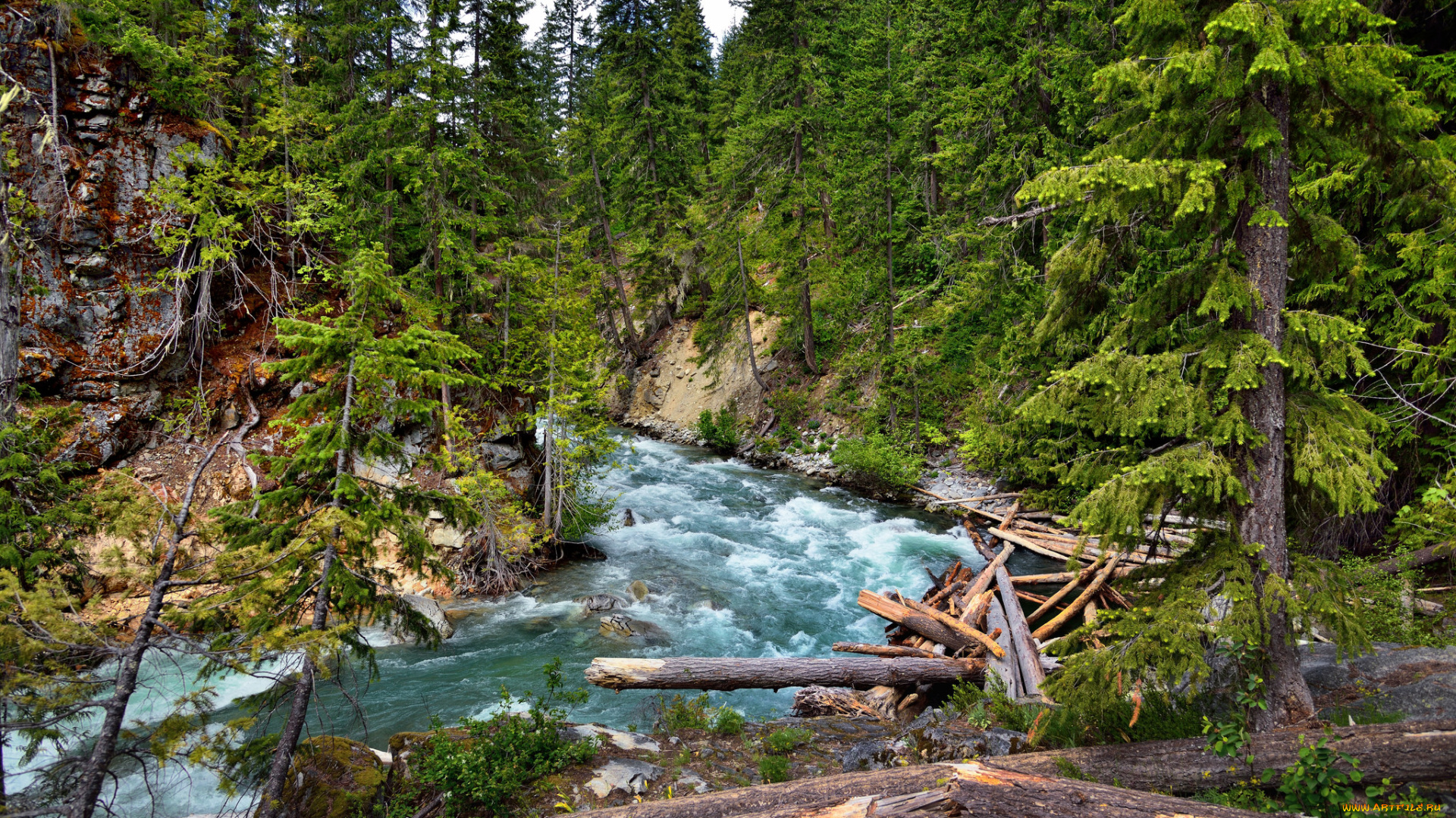 природа, реки, озера, простор