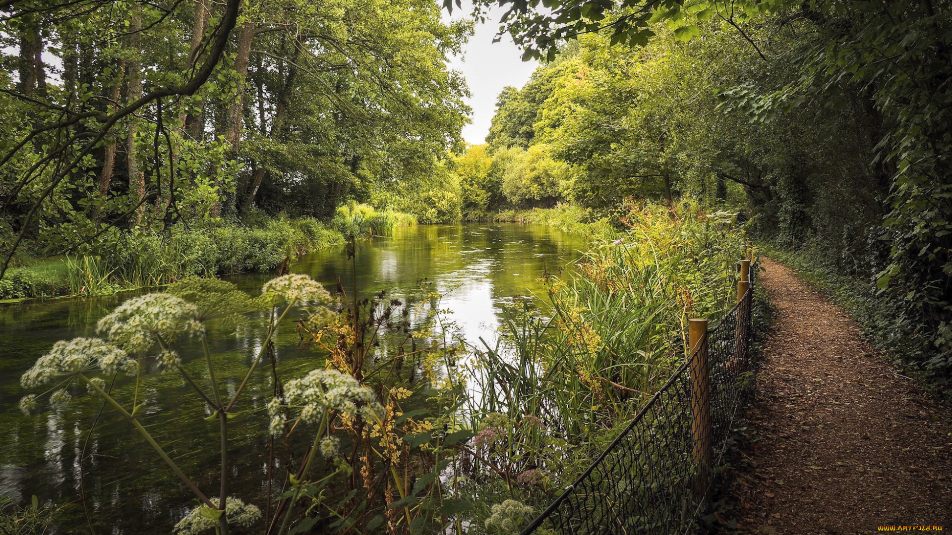 природа, реки, озера, простор