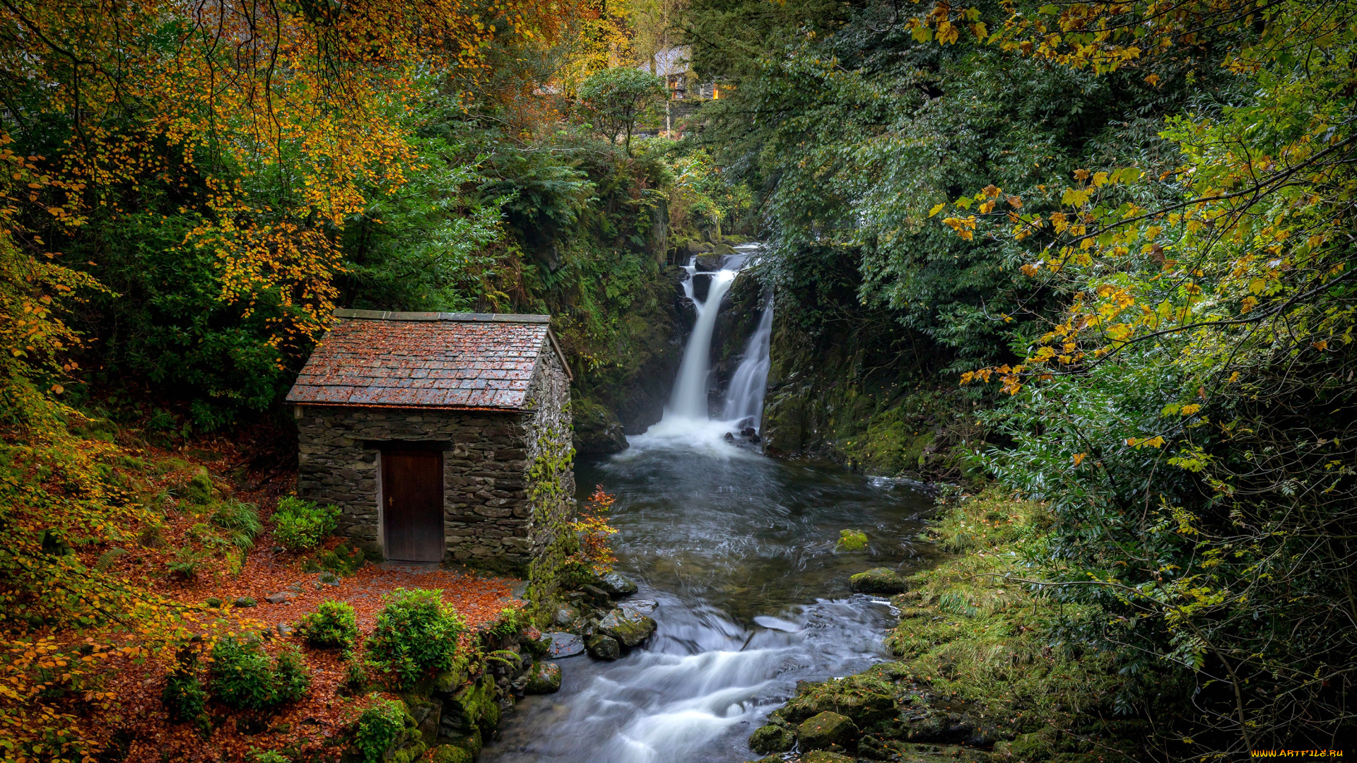 природа, водопады, осень, лес, листья, деревья, ручей, камни, водопад, мох, великобритания, домик, cumbria, rydal