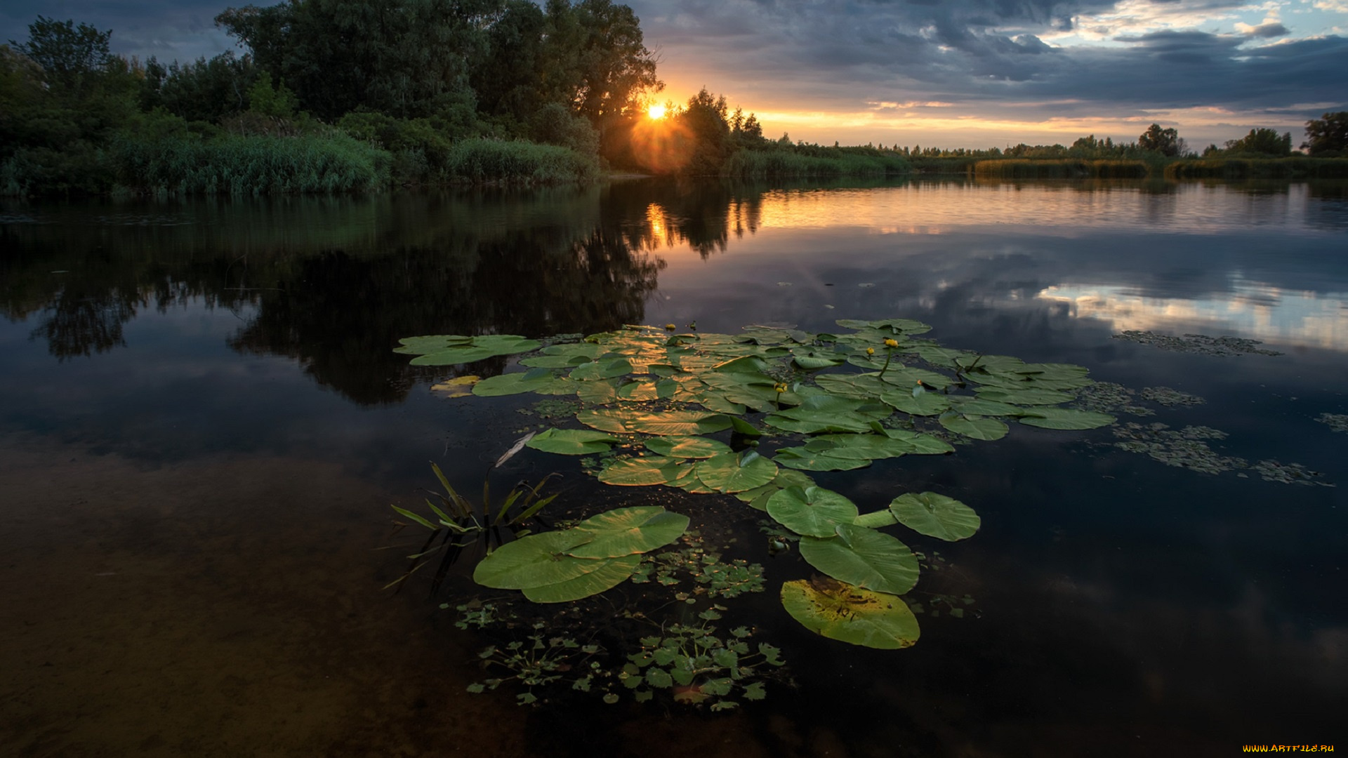природа, восходы, закаты, закат, деревья, лето, небо, река
