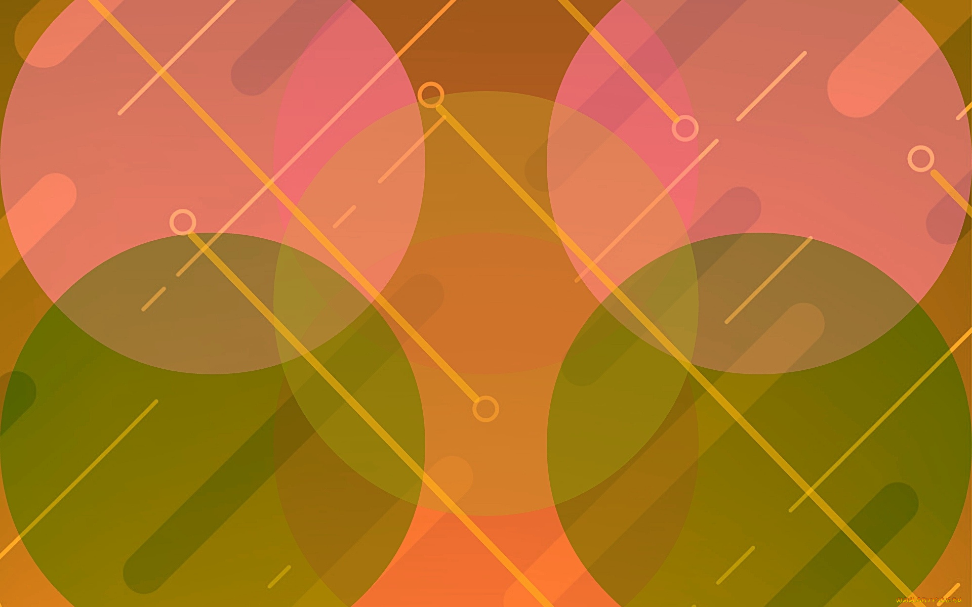 векторная, графика, -графика, , graphics, цвет, фон, узор