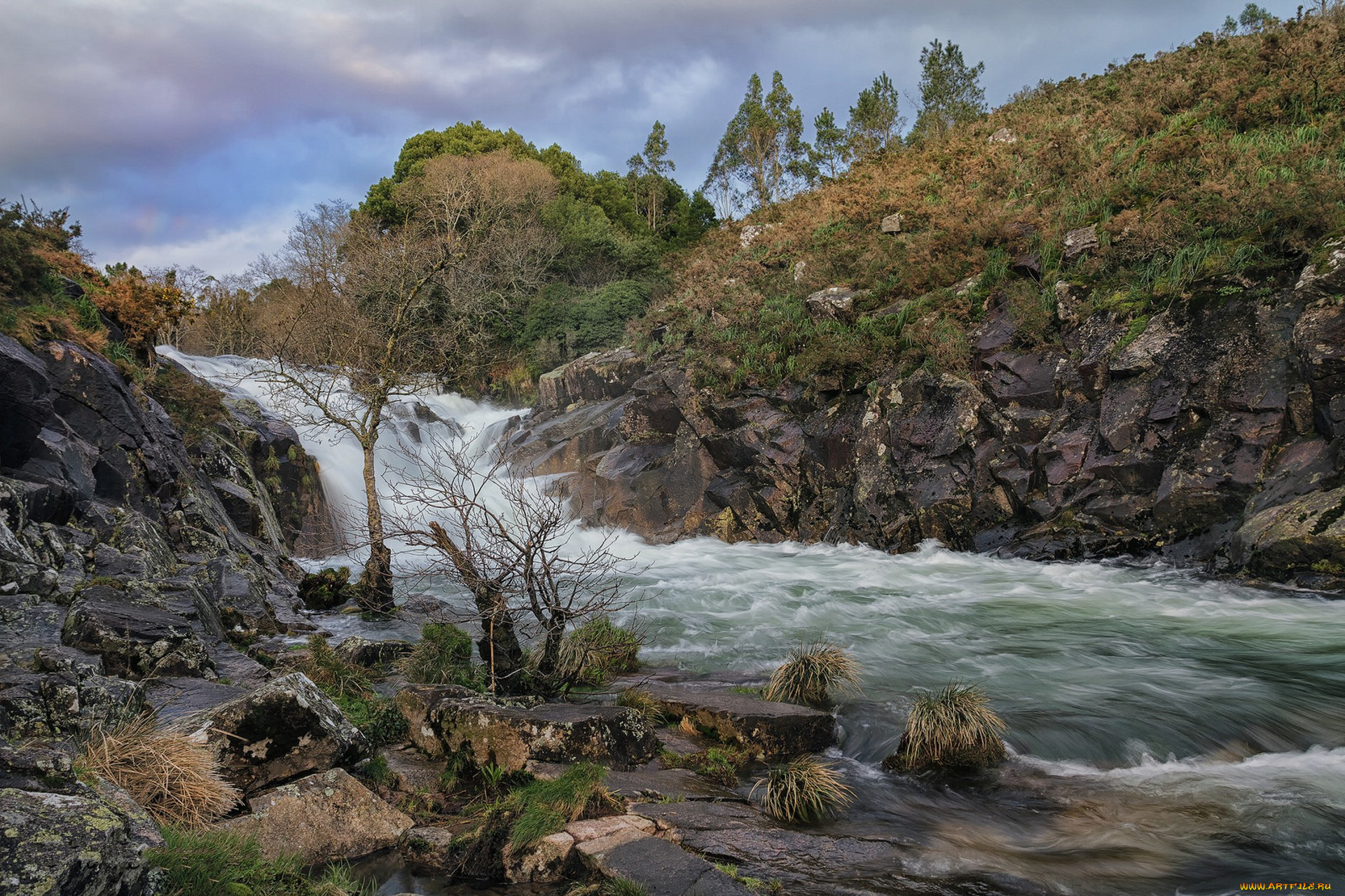 природа, реки, озера, простор