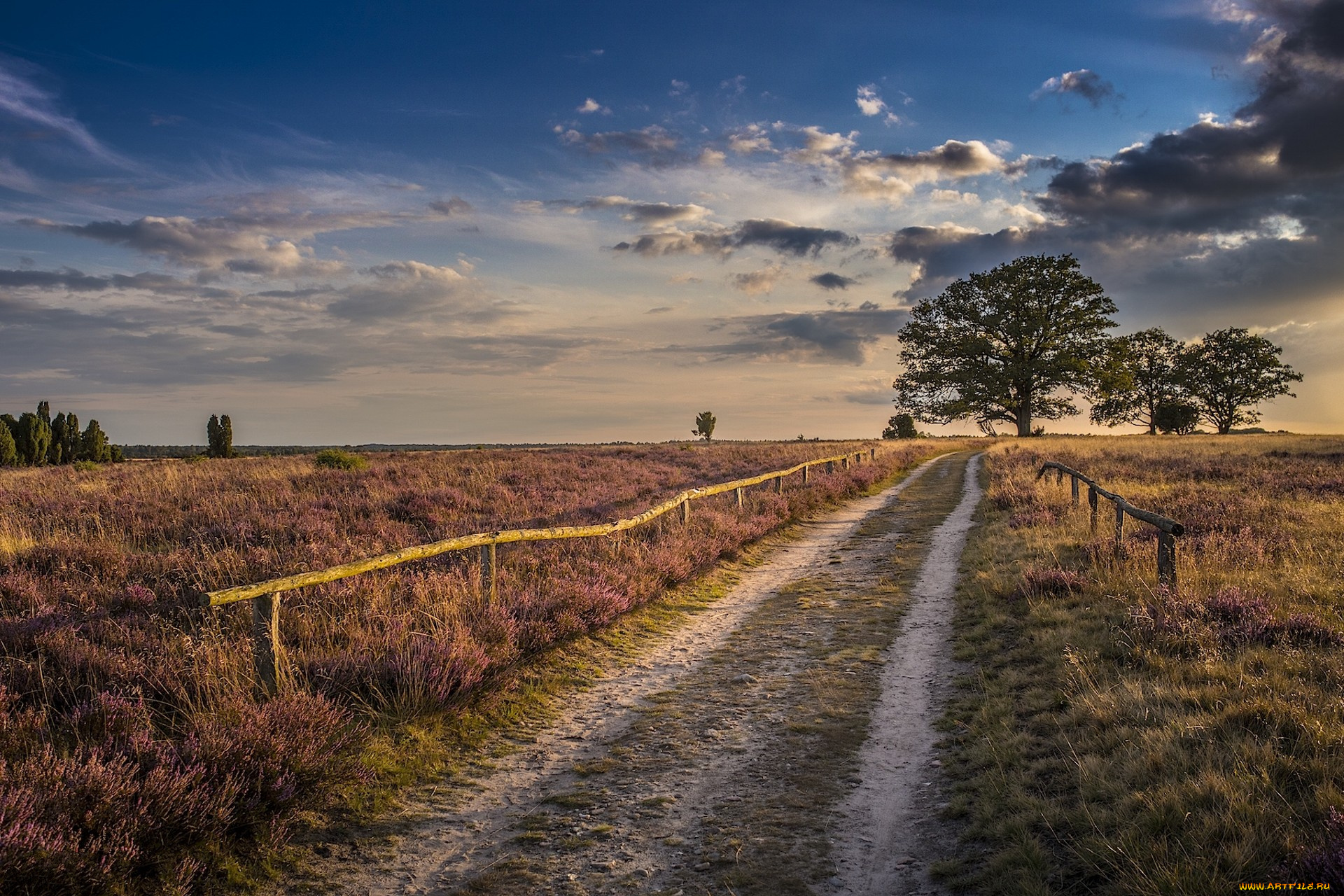 природа, дороги, простор