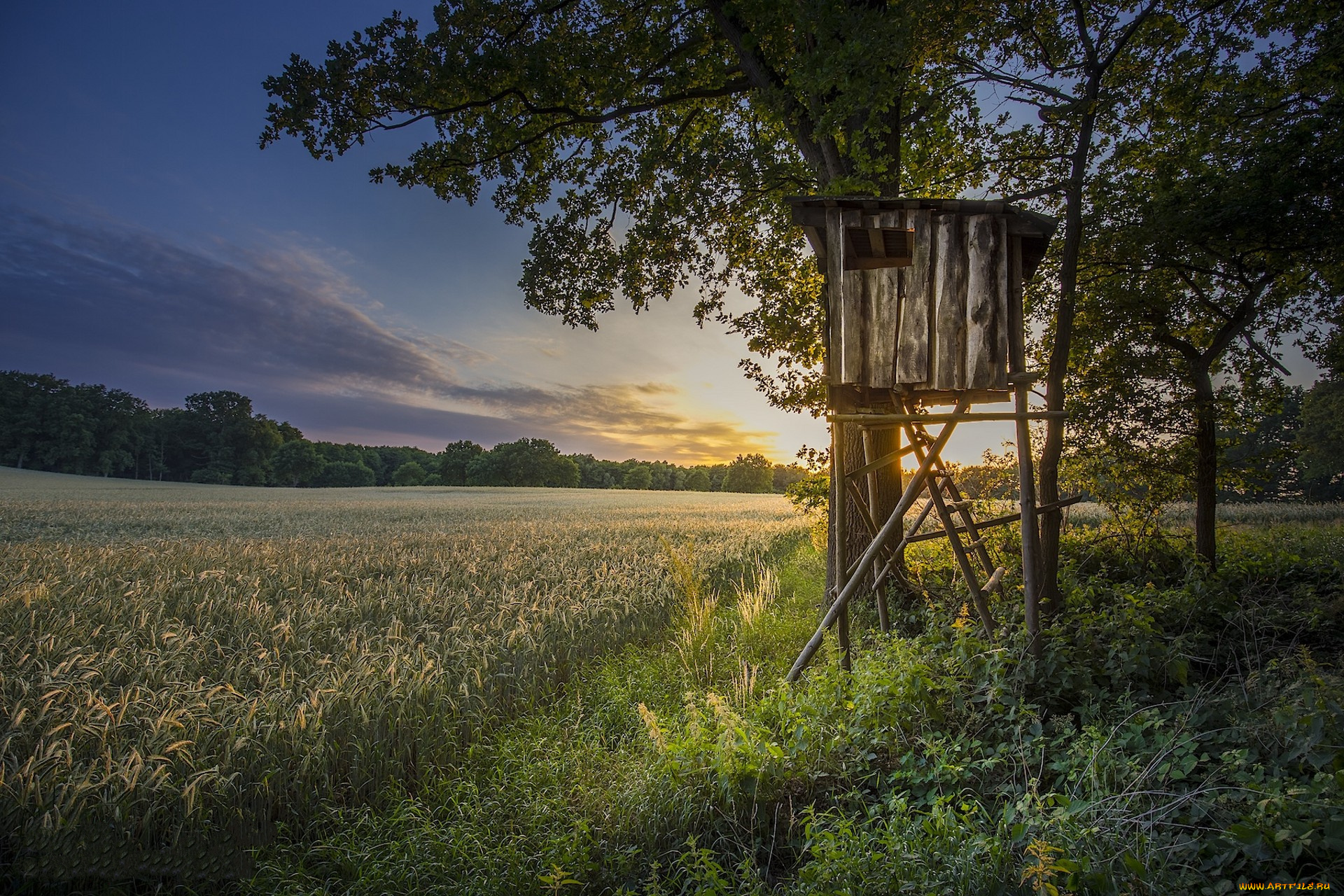 природа, пейзажи, простор