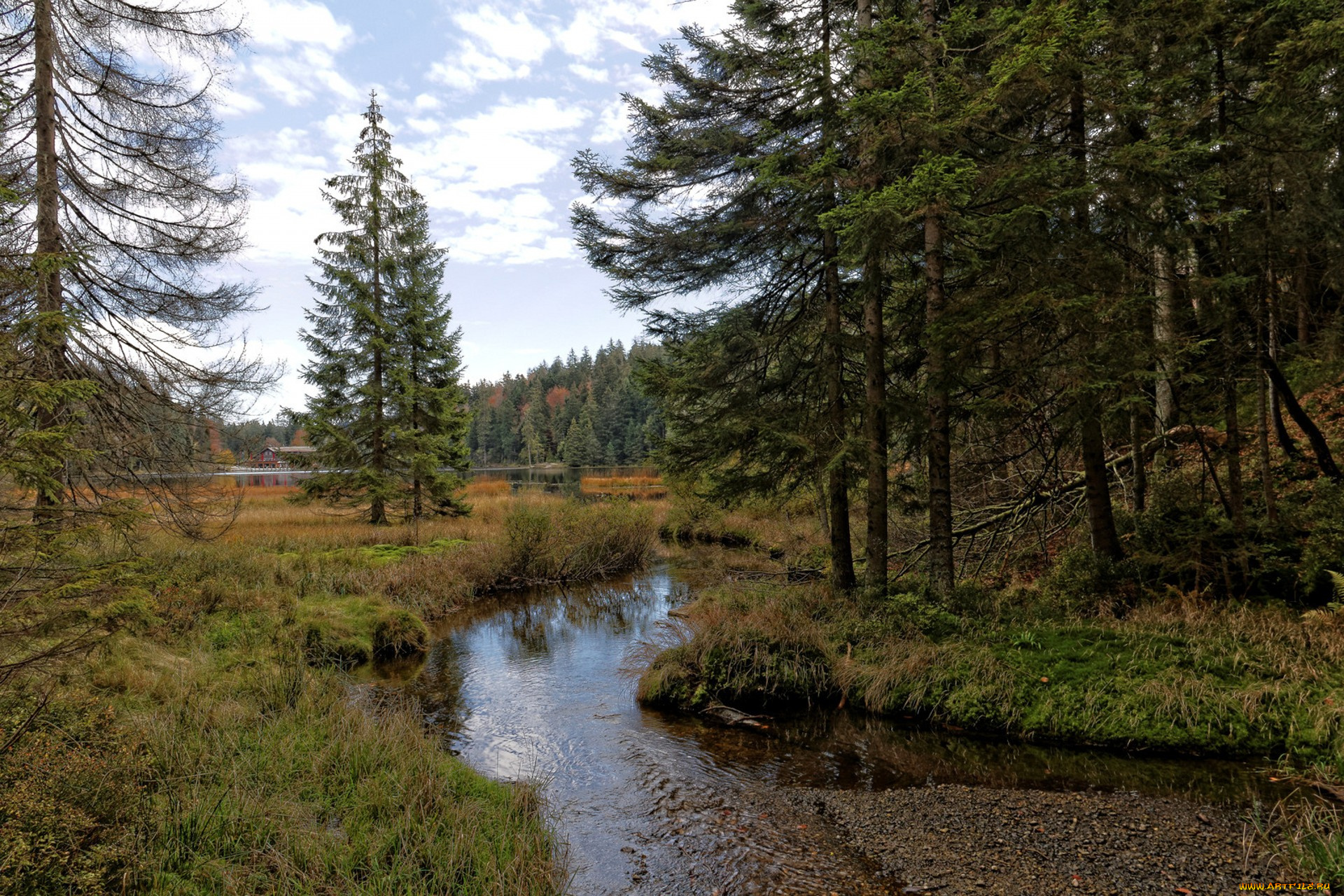 природа, реки, озера, простор