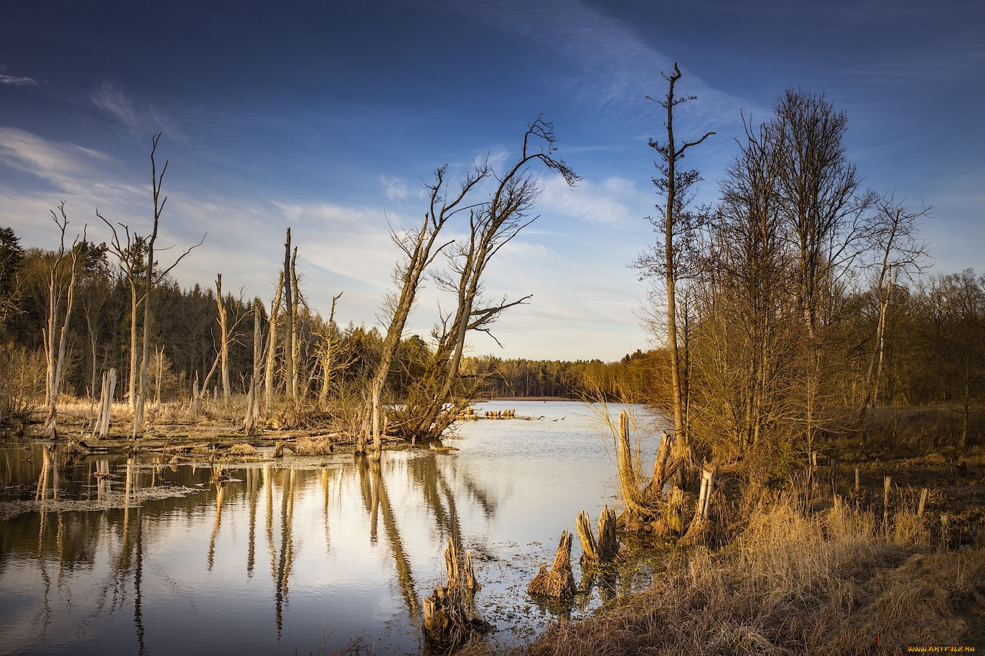 природа, реки, озера, простор