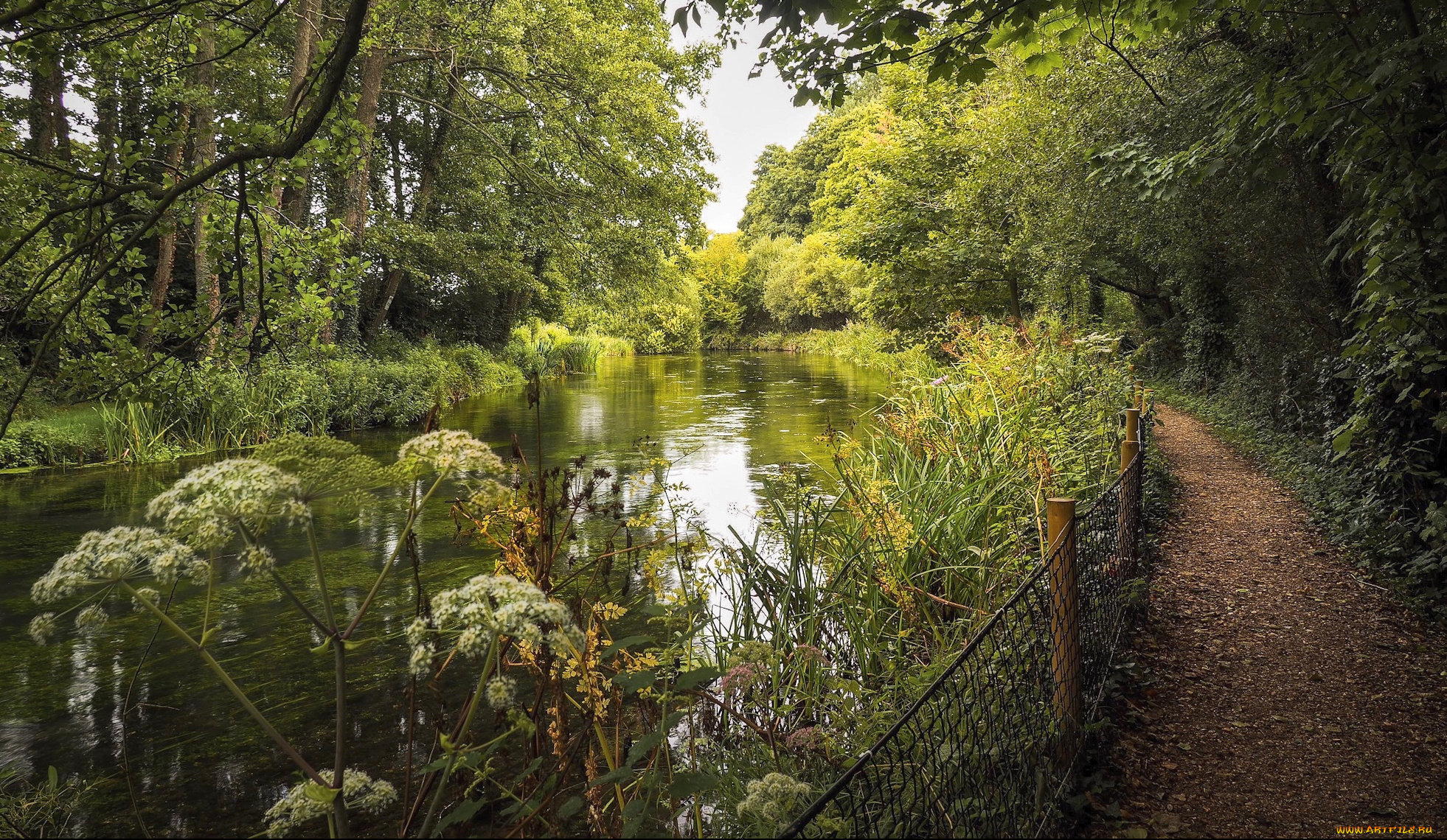 природа, реки, озера, простор