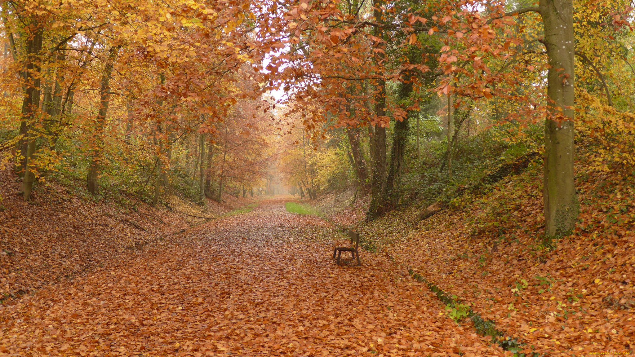 природа, дороги, простор