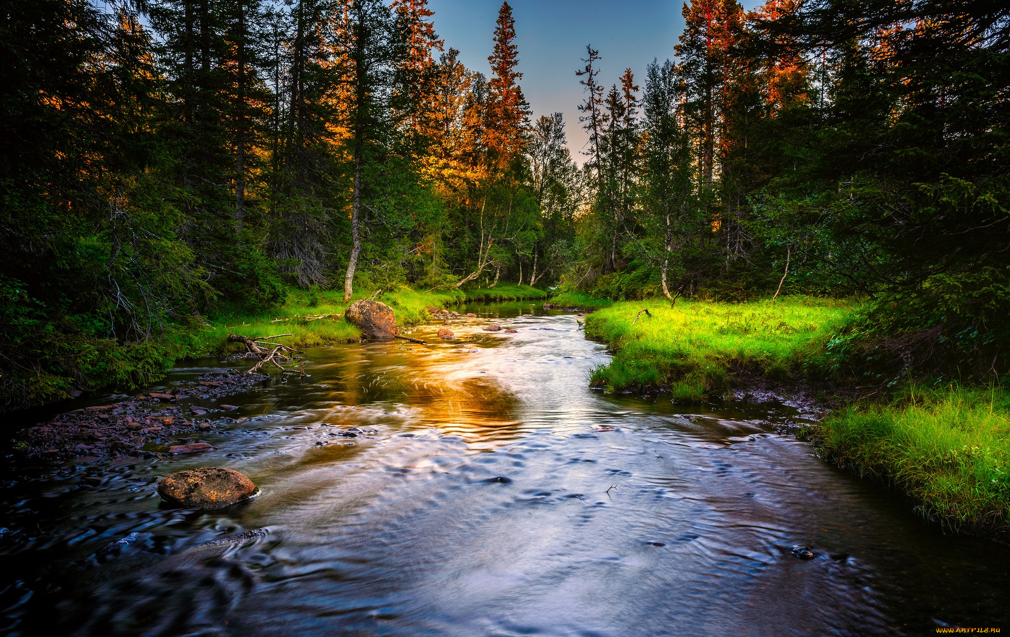 природа, реки, озера, простор