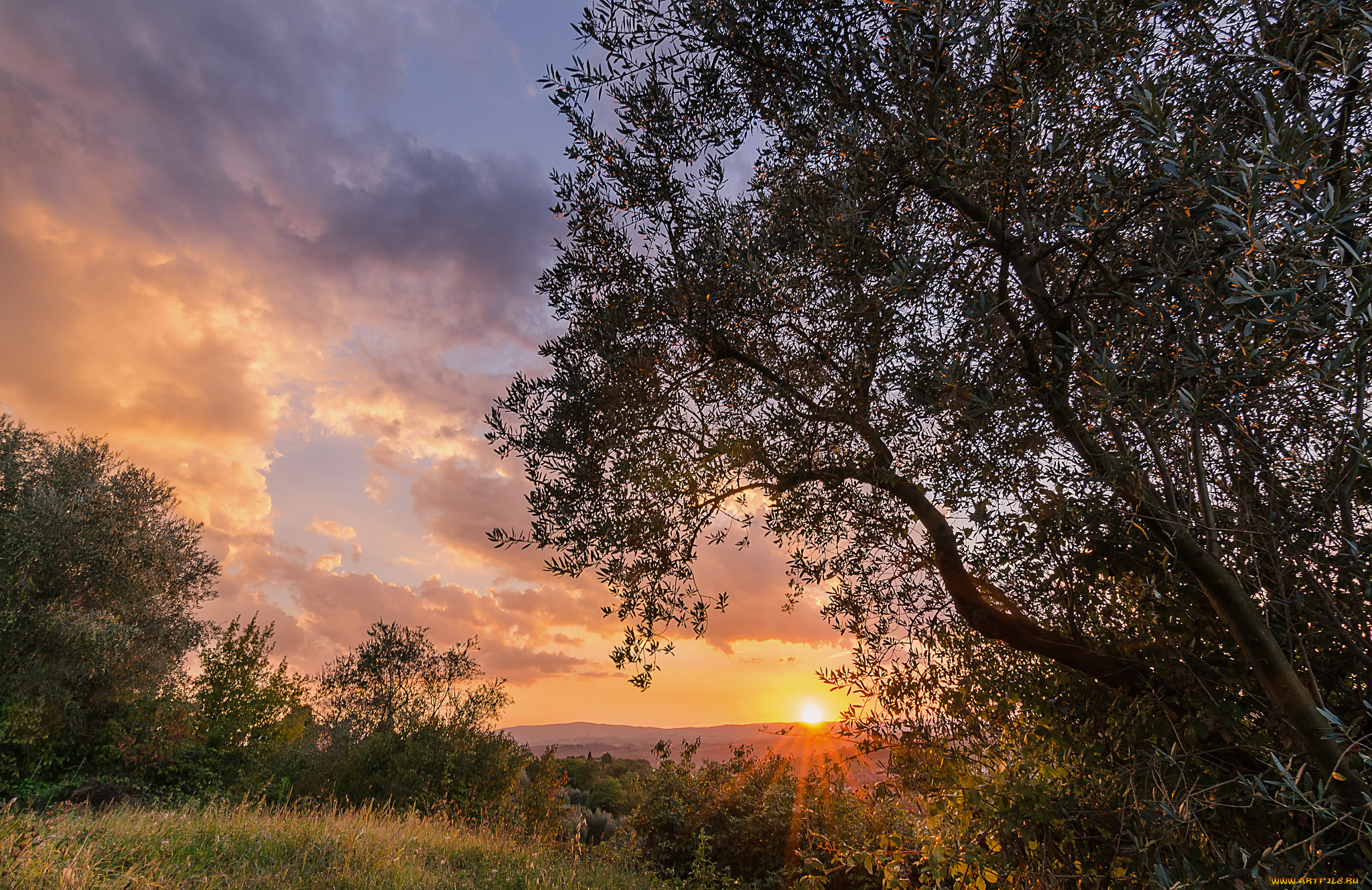 природа, восходы, закаты, простор