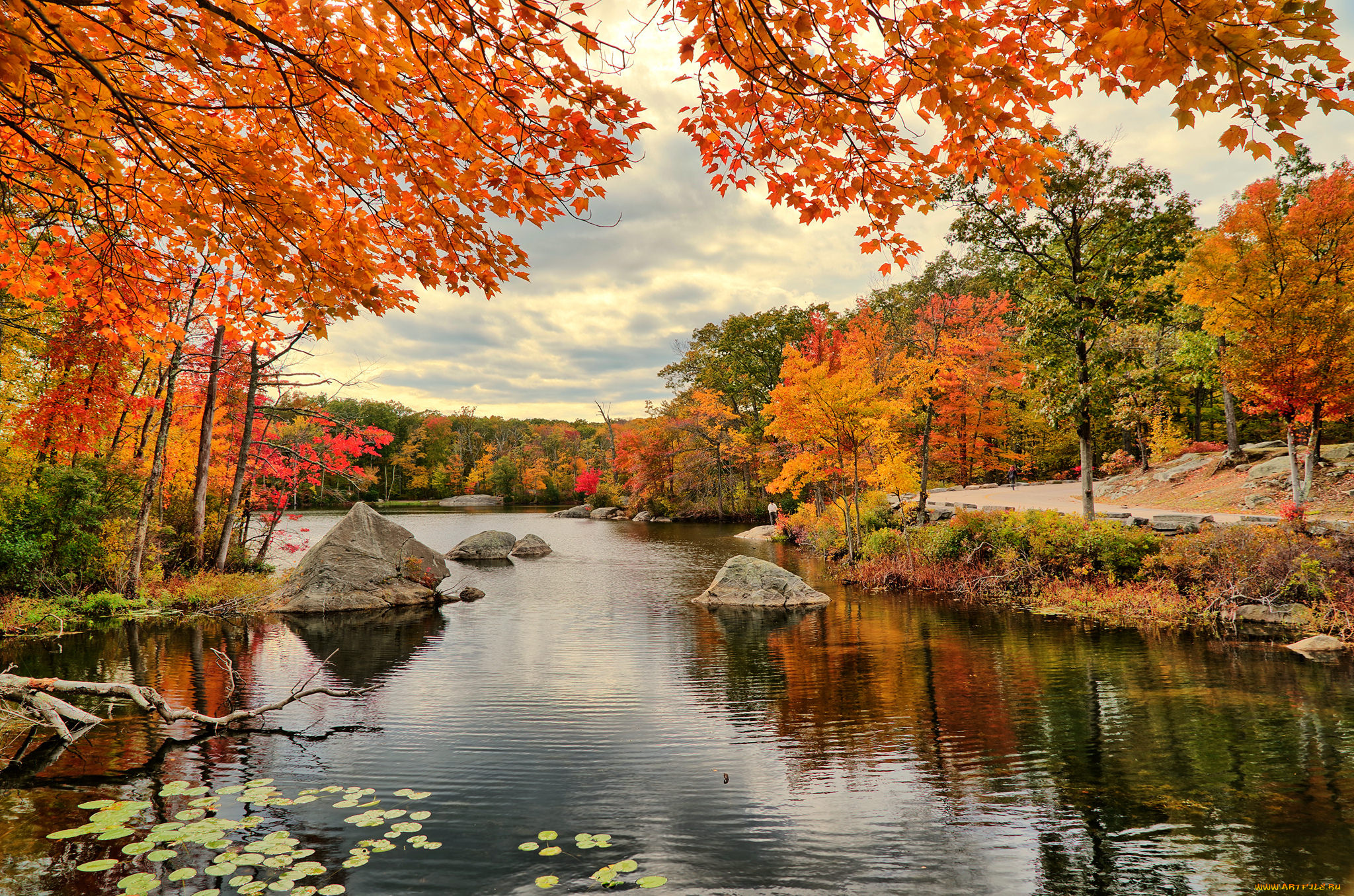 природа, реки, озера, простор