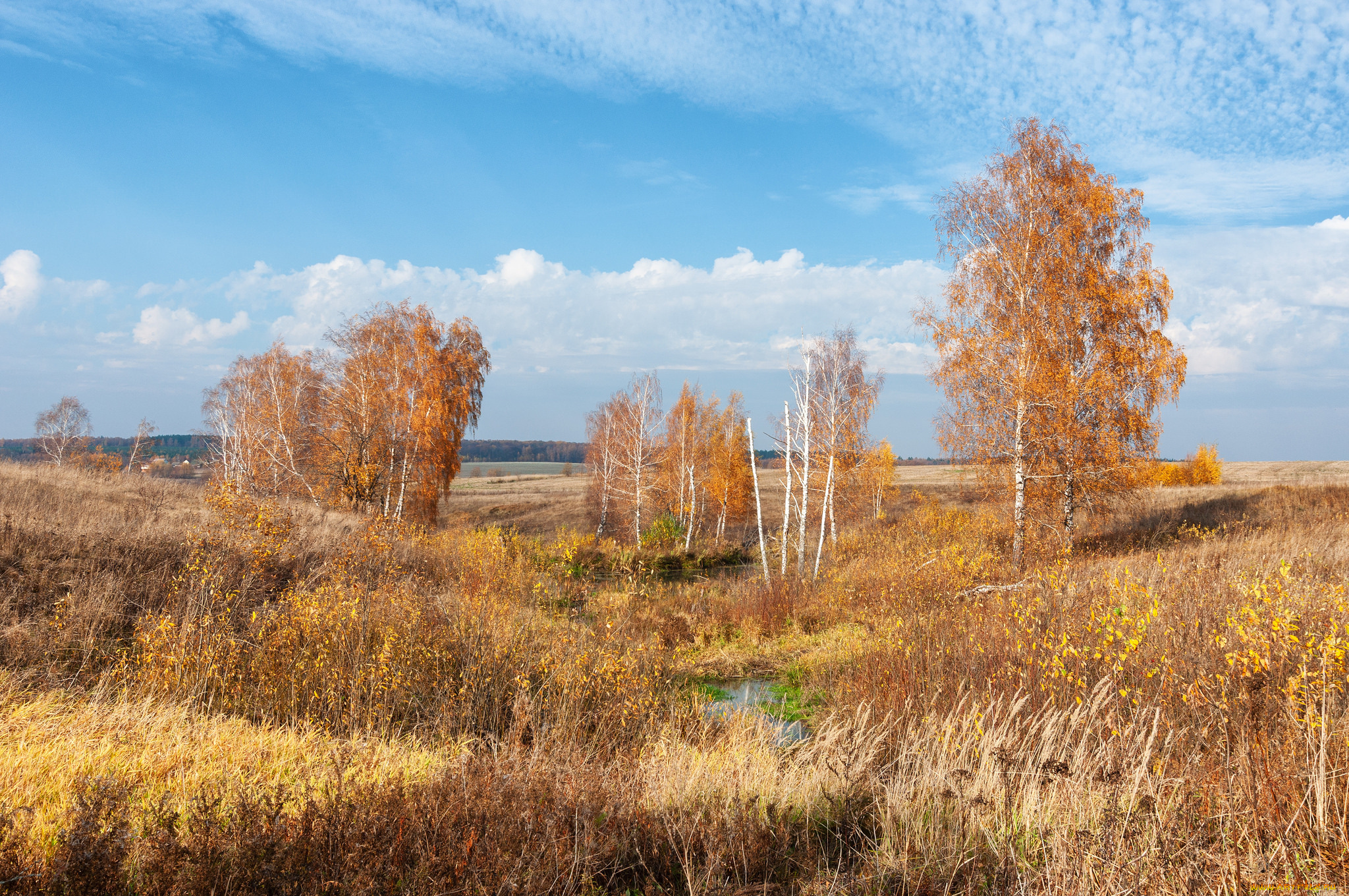 природа, пейзажи, простор