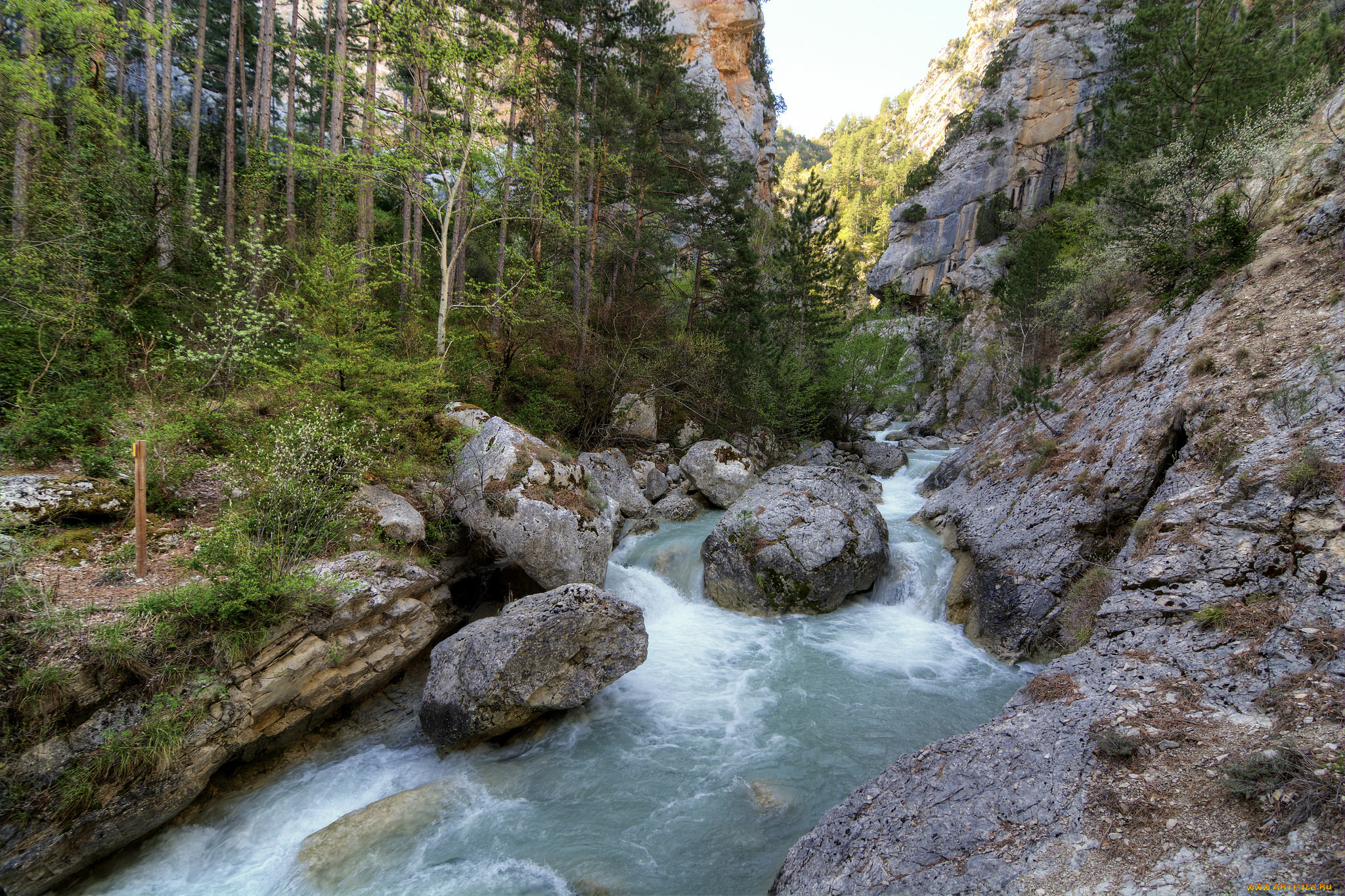 природа, реки, озера, простор