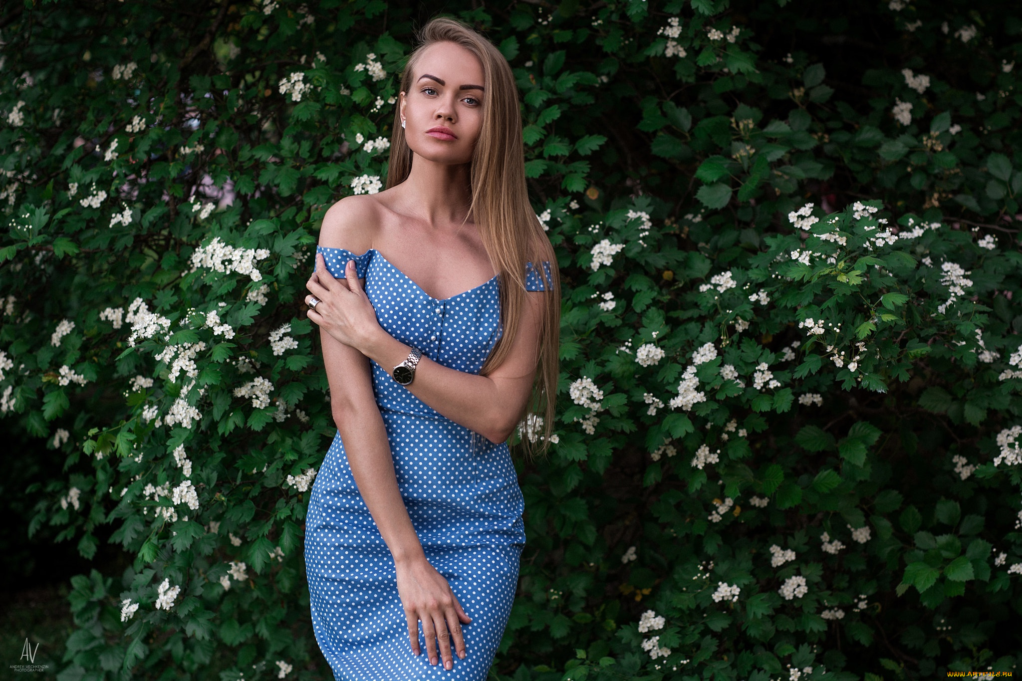 девушки, -unsort, , блондинки, , светловолосые, портрет, синее, платье, растения, женщины