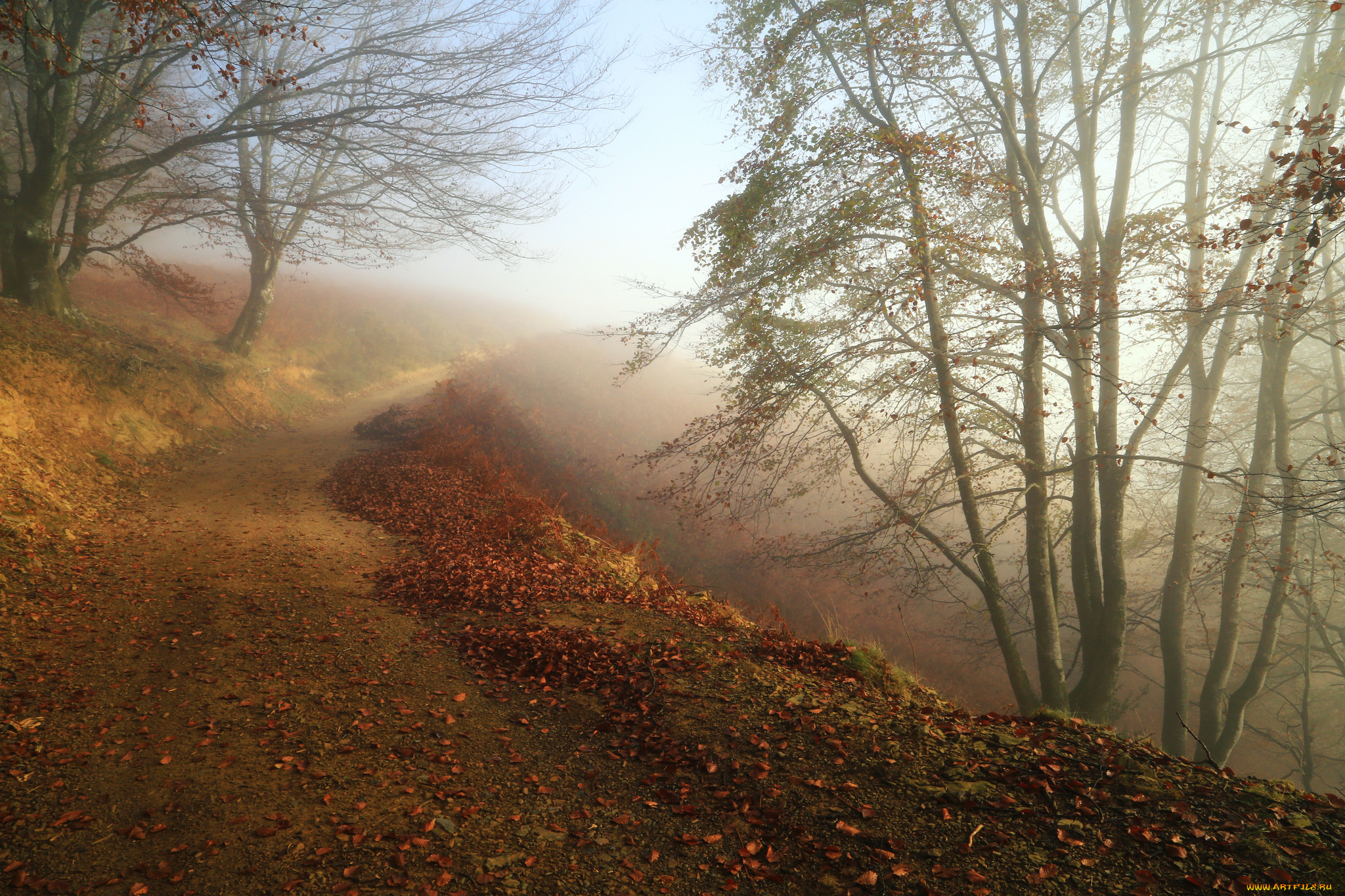 природа, пейзажи, простор