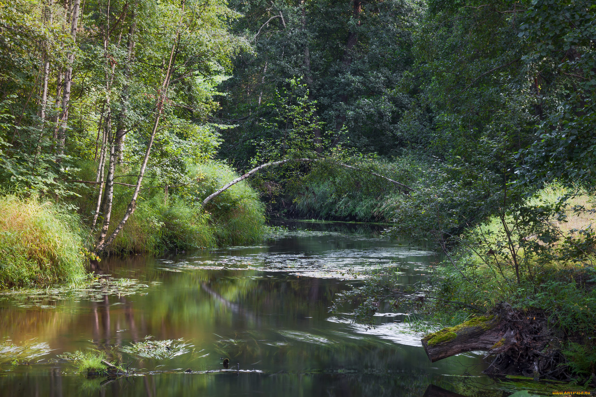 природа, реки, озера, простор