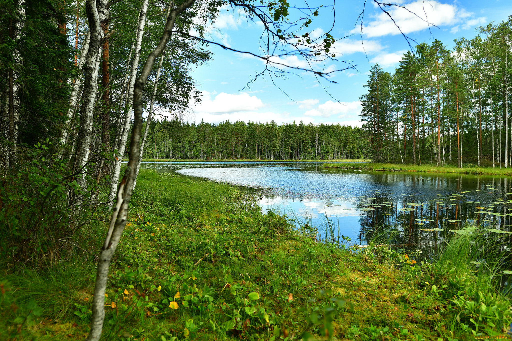 природа, реки, озера, простор