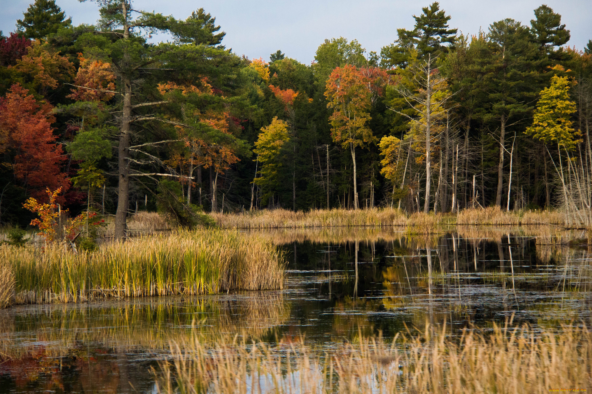 природа, реки, озера, простор