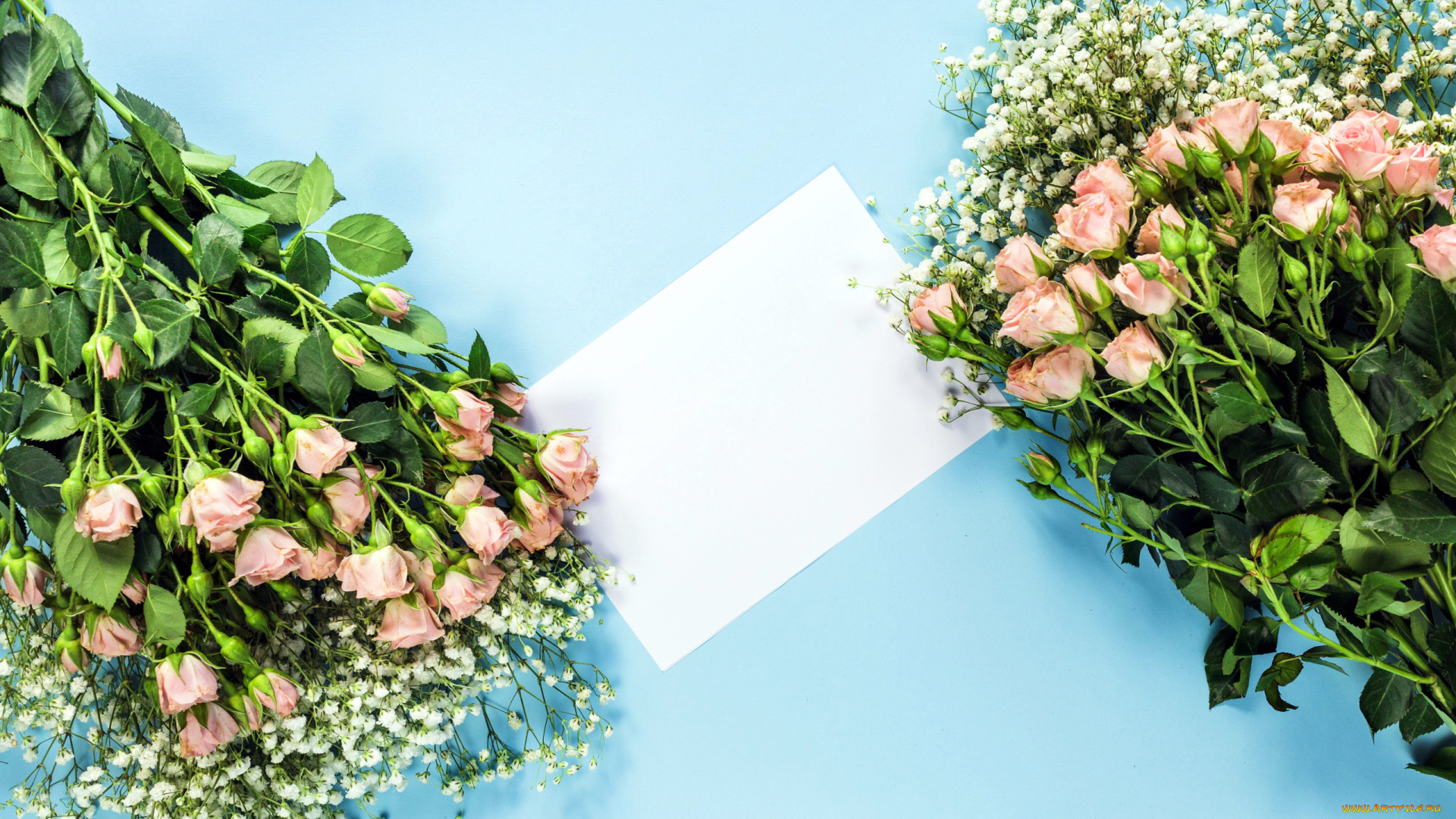 цветы, букеты, , композиции, бутоны