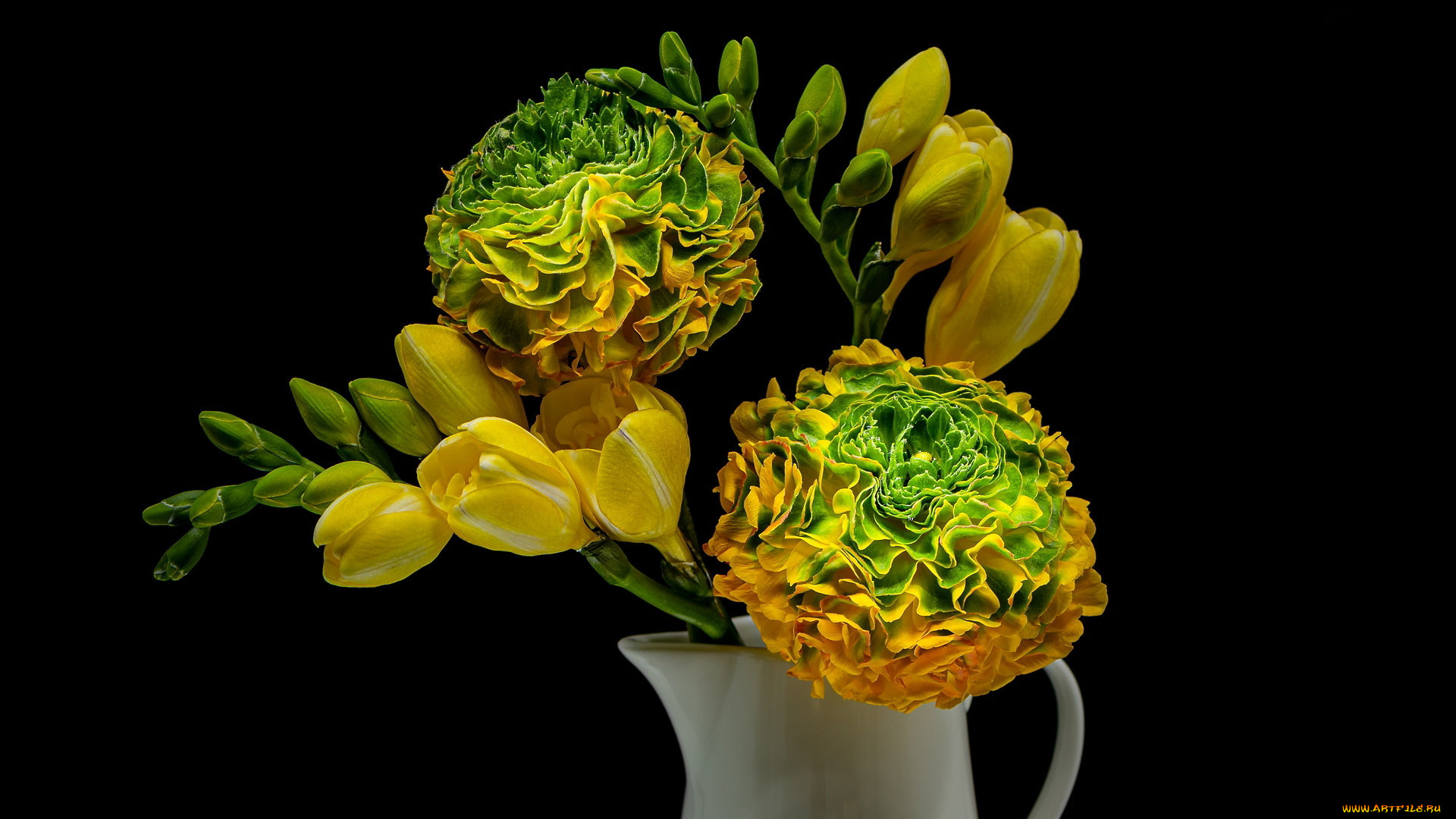 цветы, букеты, , композиции, фрезия