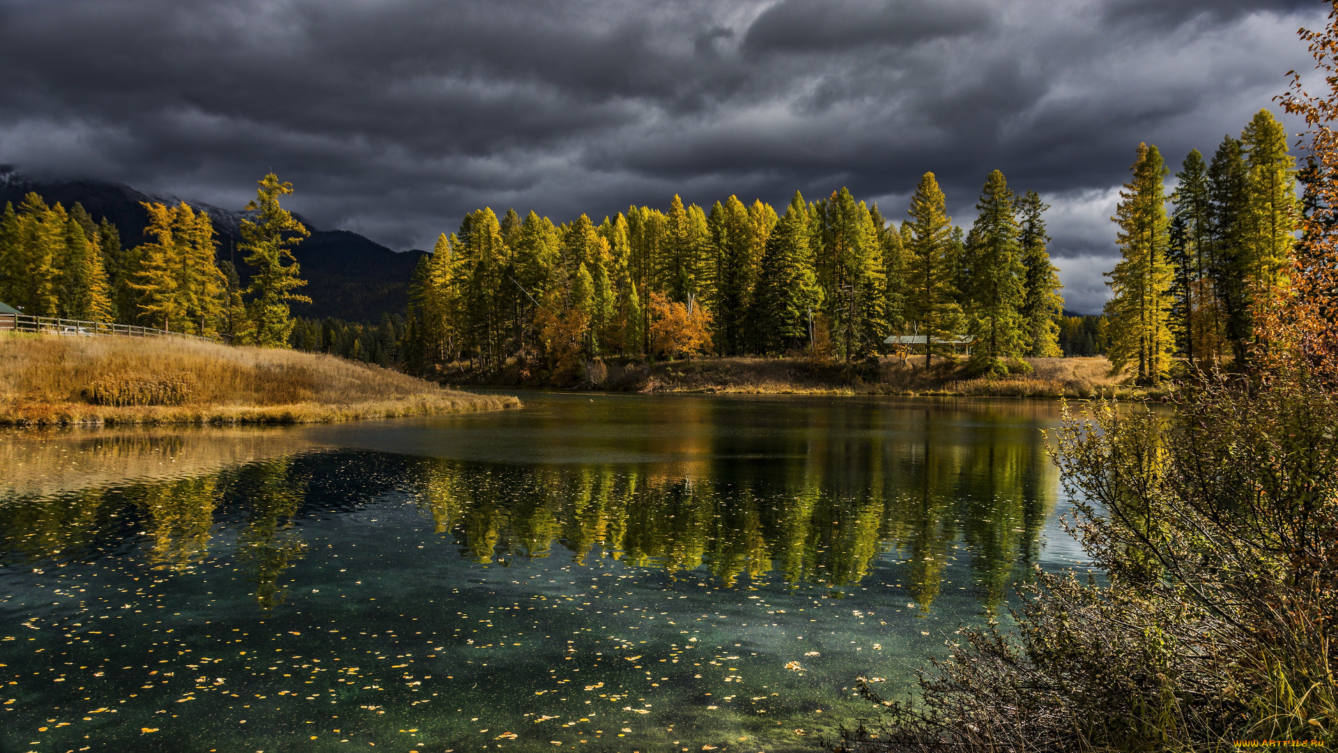 природа, реки, озера, монтана