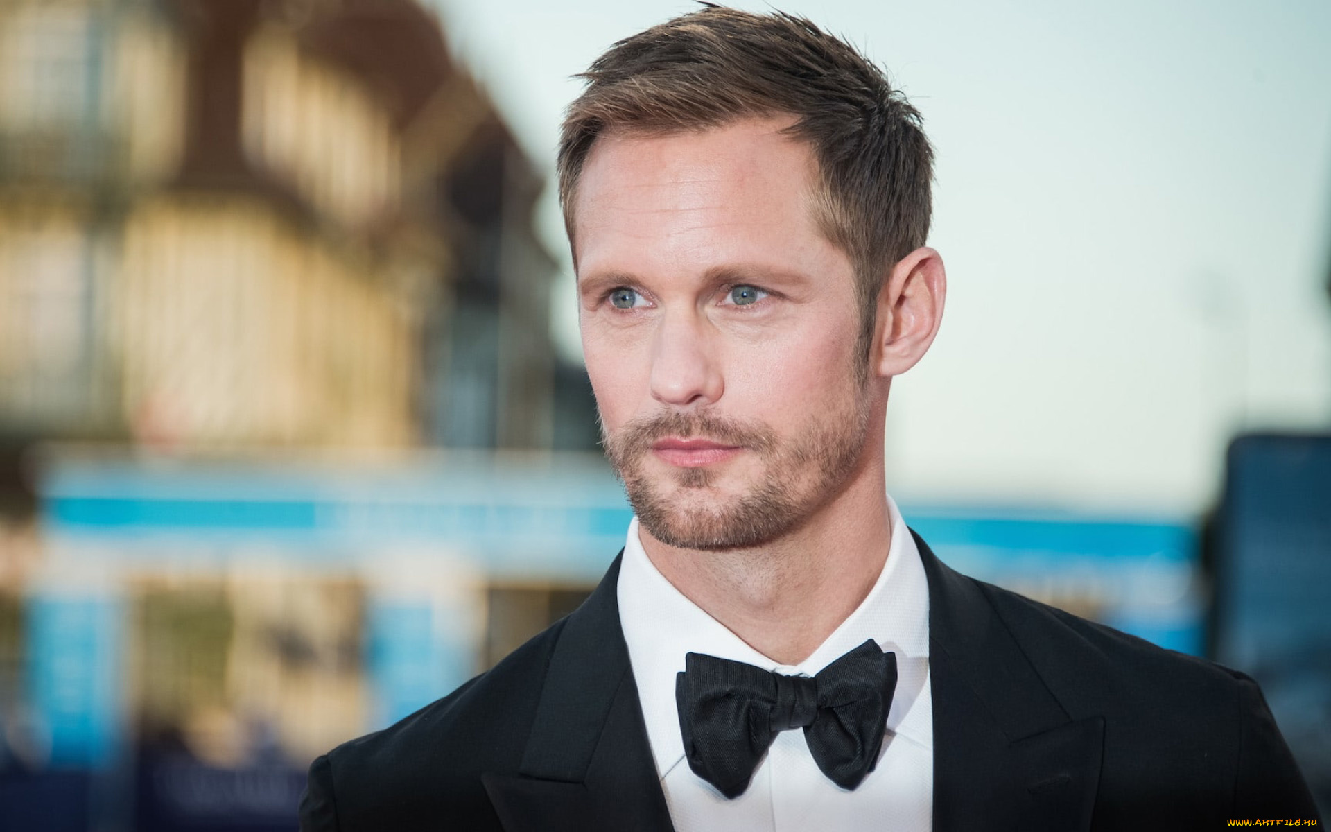 мужчины, alexander, skarsg&, 229, rd, бородка, галстук, бабочка