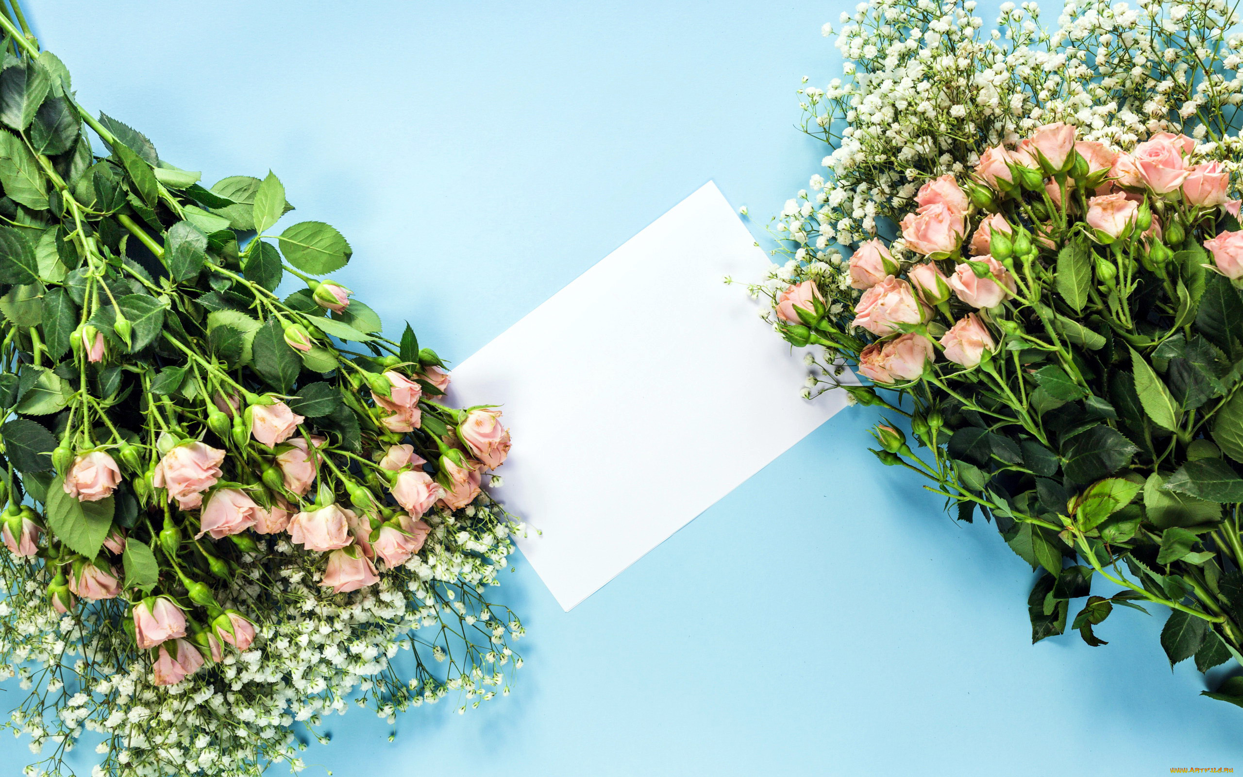 цветы, букеты, , композиции, бутоны