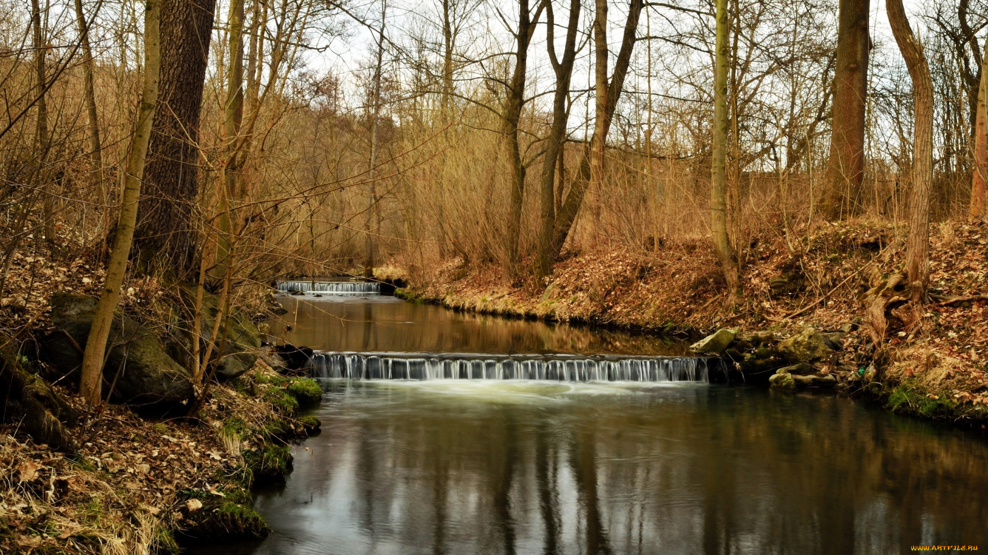 природа, реки, озера, деревья, осень, река, лес, каскады