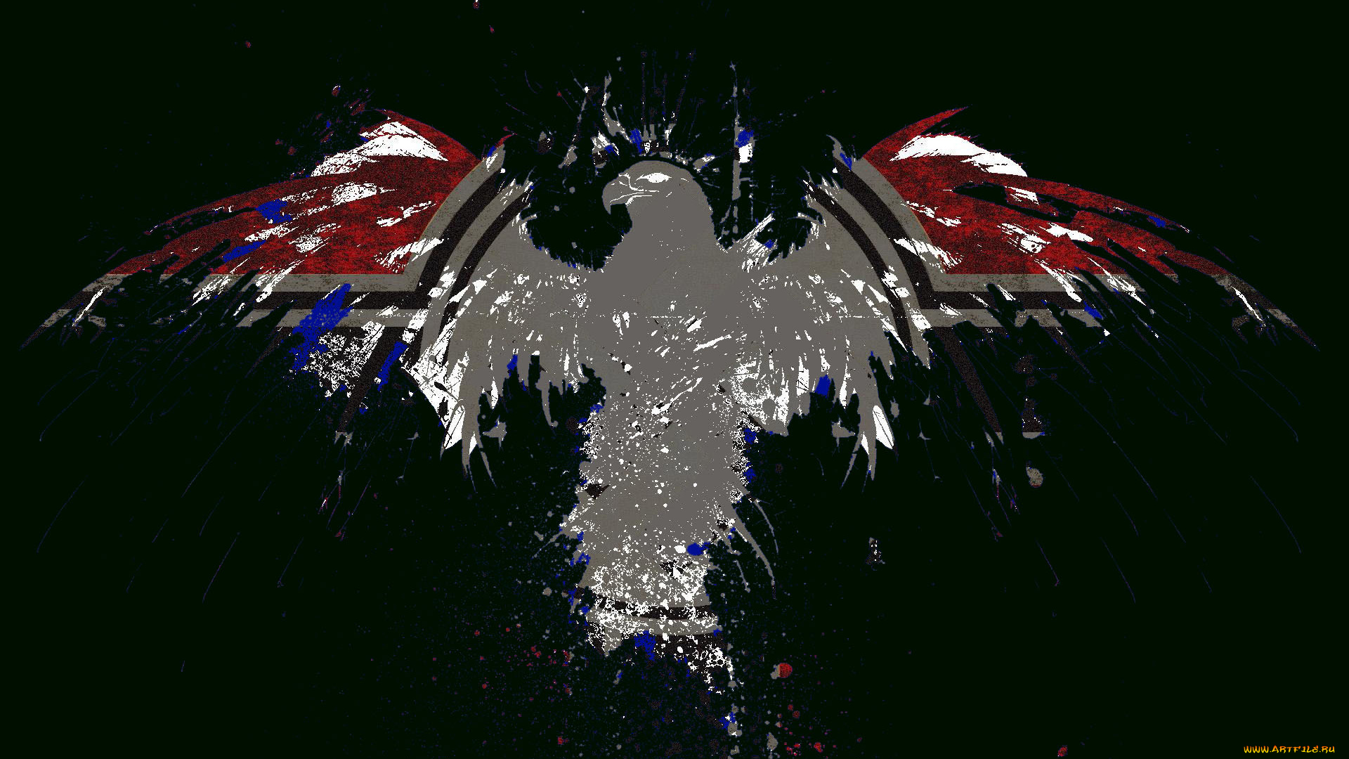 векторная, графика, птицы, , птицы, орел, силуэт, флаг