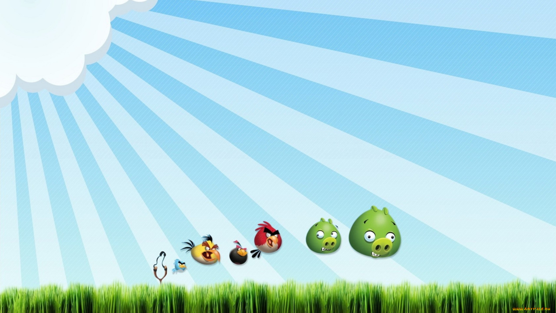 видео, игры, angry, birds, свиньи, птицы, лучи, трава