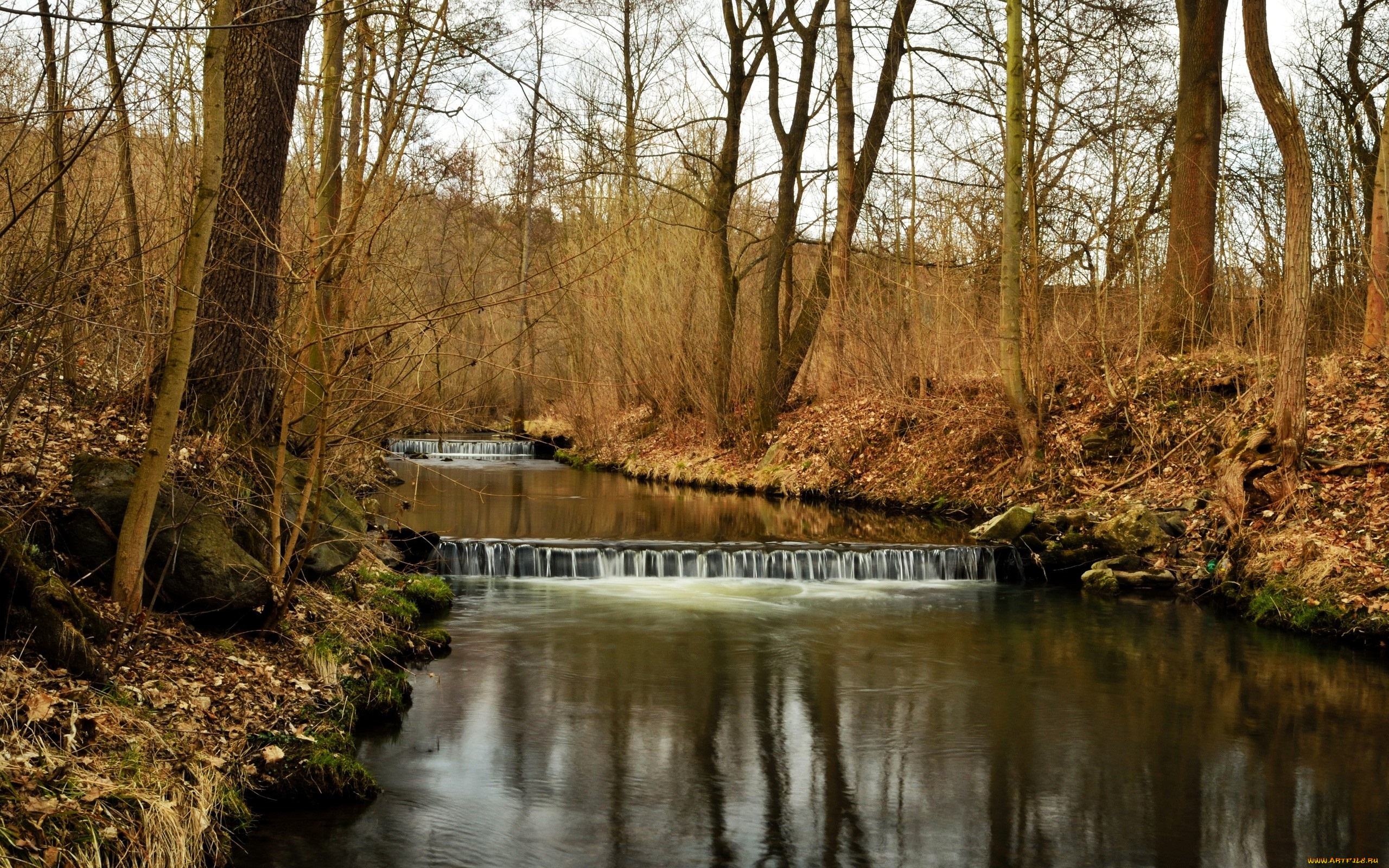 природа, реки, озера, деревья, осень, река, лес, каскады