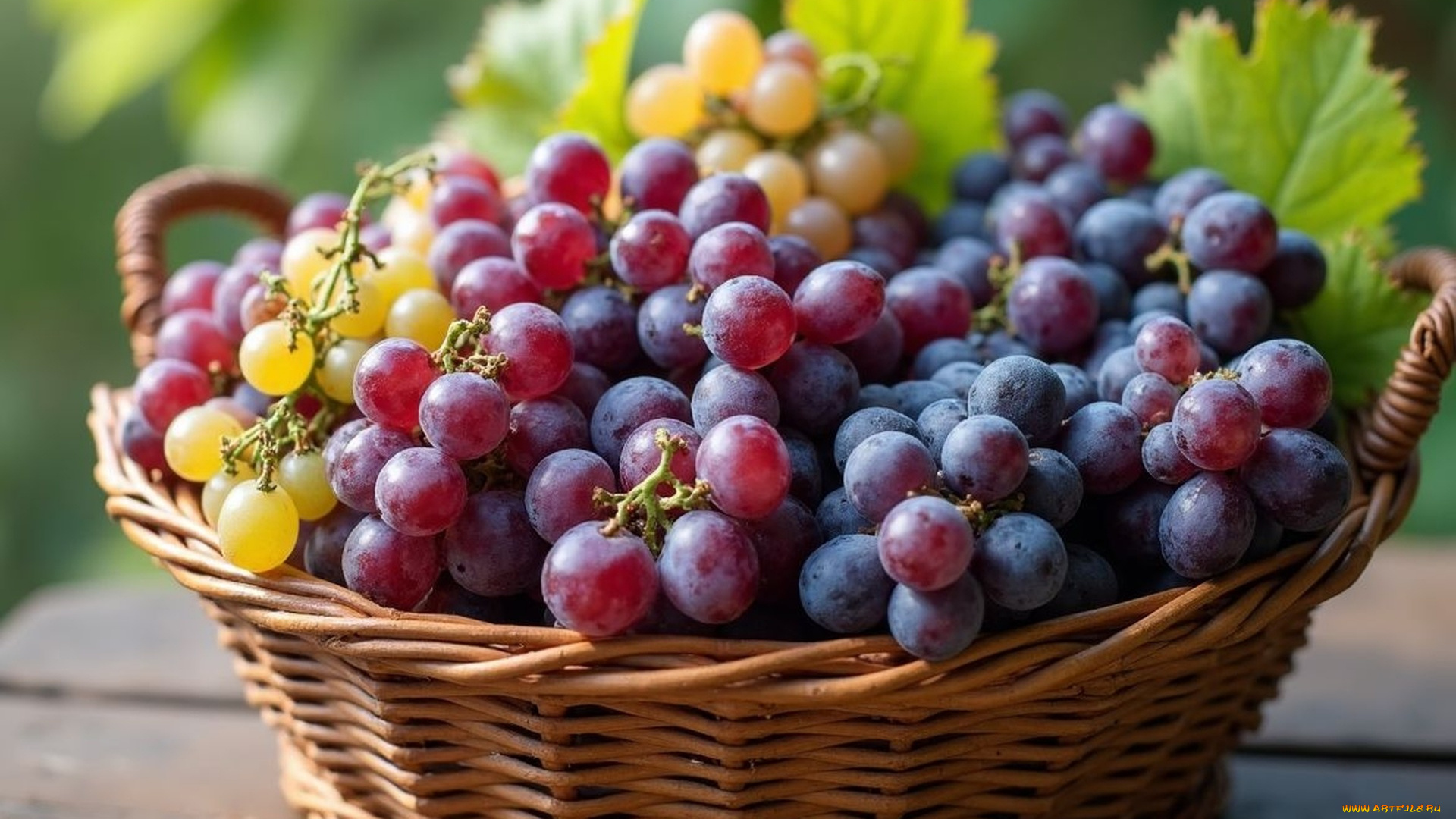 еда, виноград, корзинка, урожай