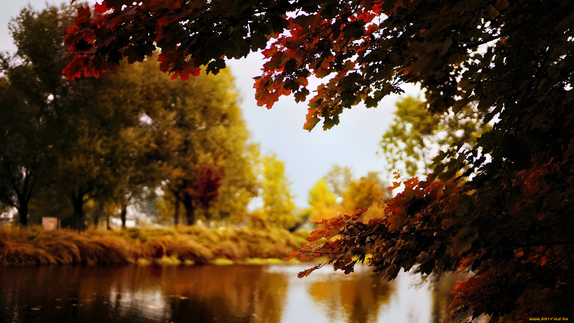 природа, реки, озера, деревья, осень, озеро