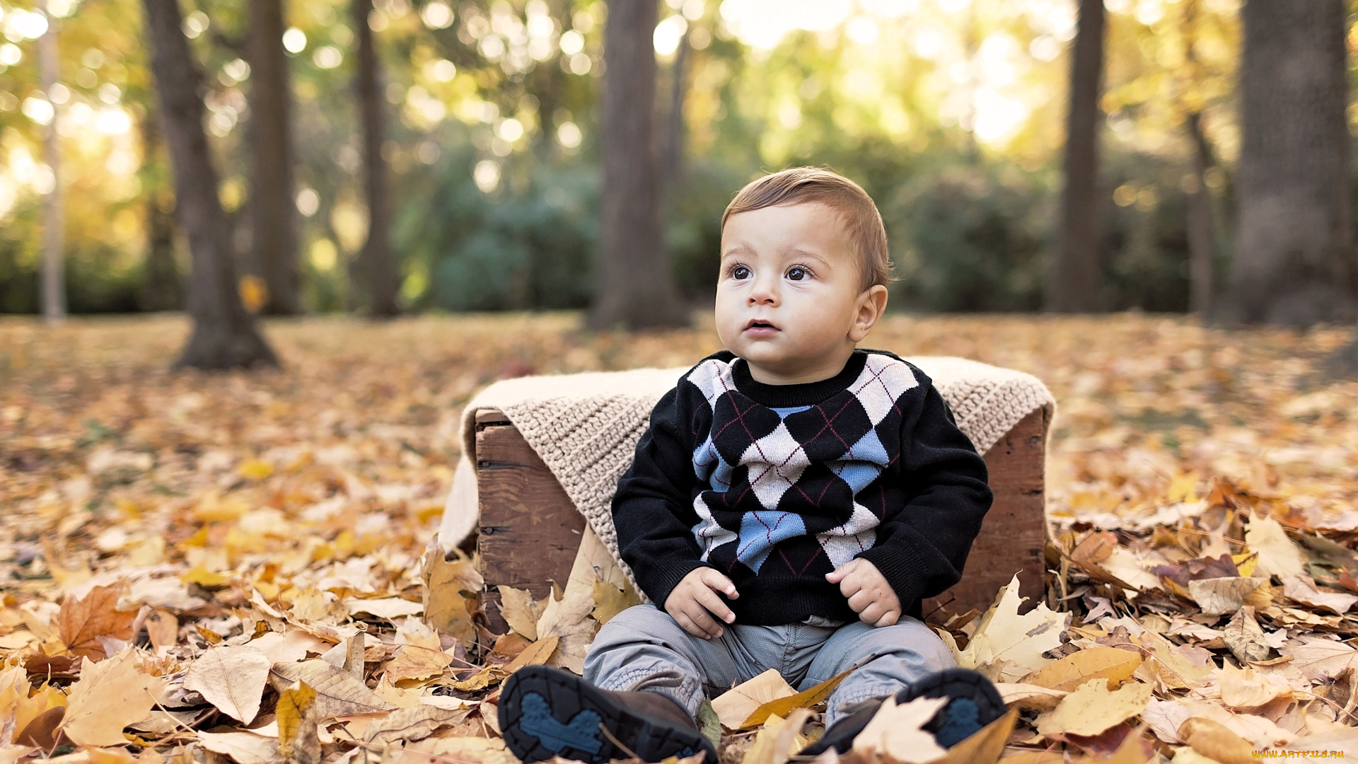разное, дети, мальчик, ребенок, свитер, ящик, листья, деревья, осень