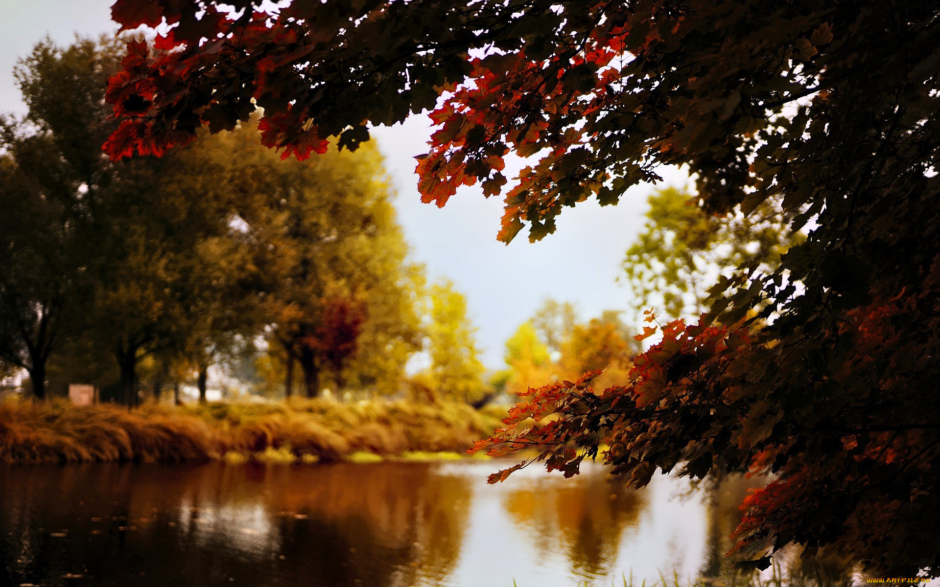 природа, реки, озера, деревья, осень, озеро